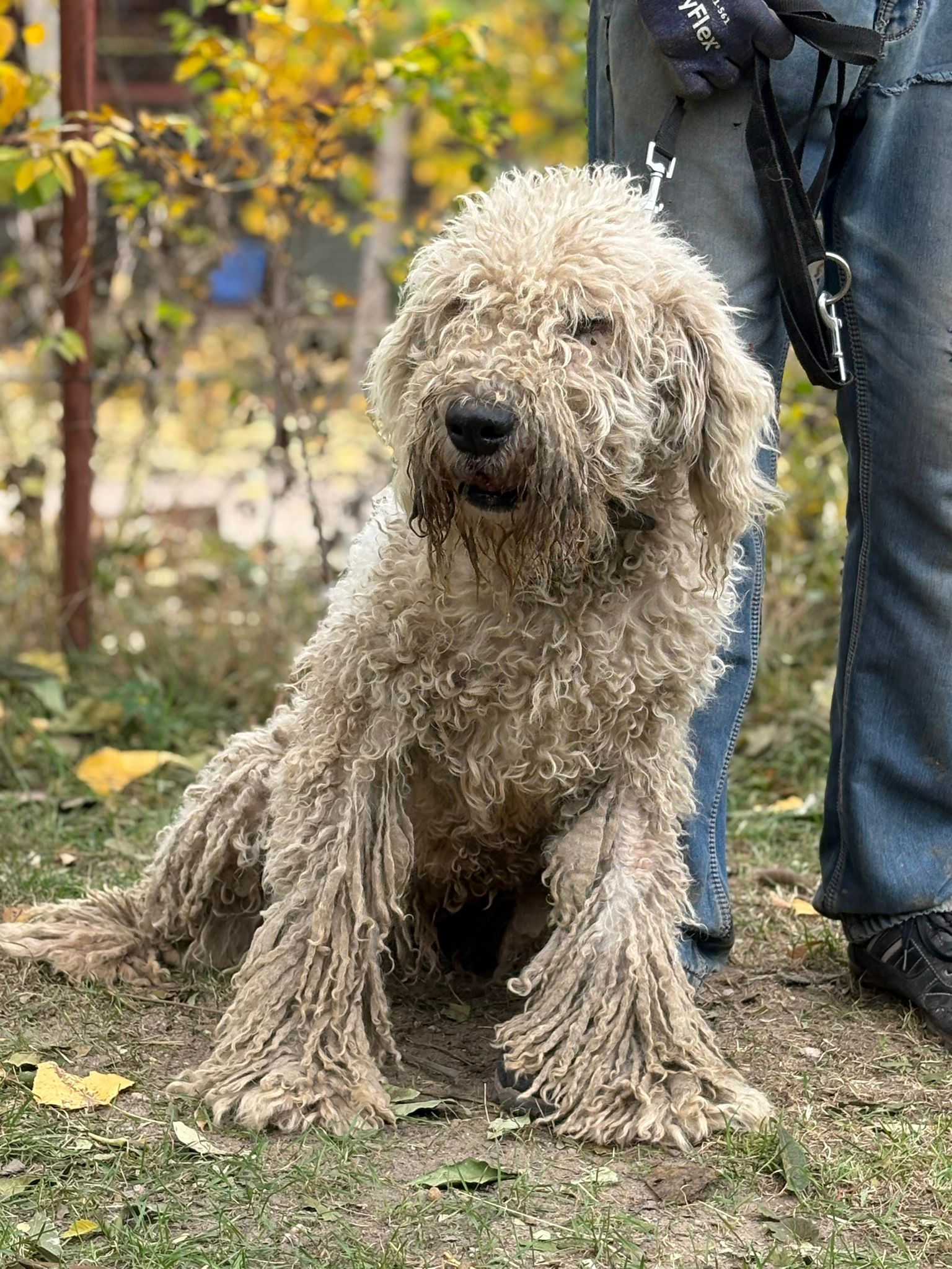 PHOTO-2025-10-30-14-58-51