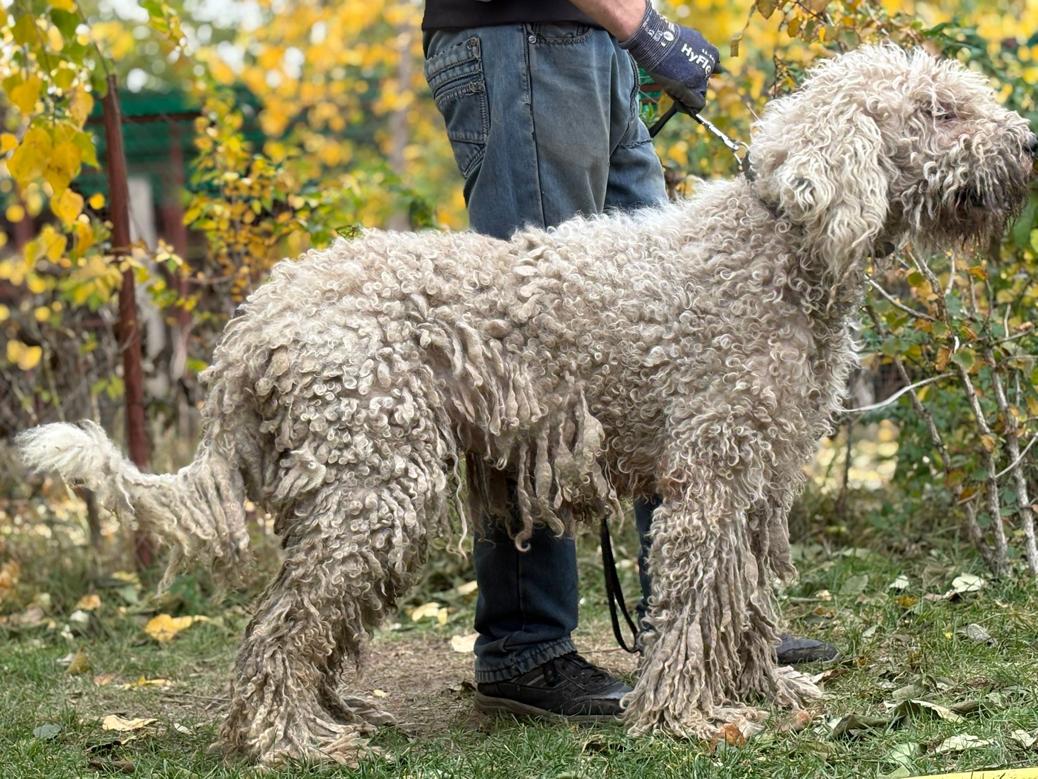 PHOTO-2025-10-30-14-58-51(1)