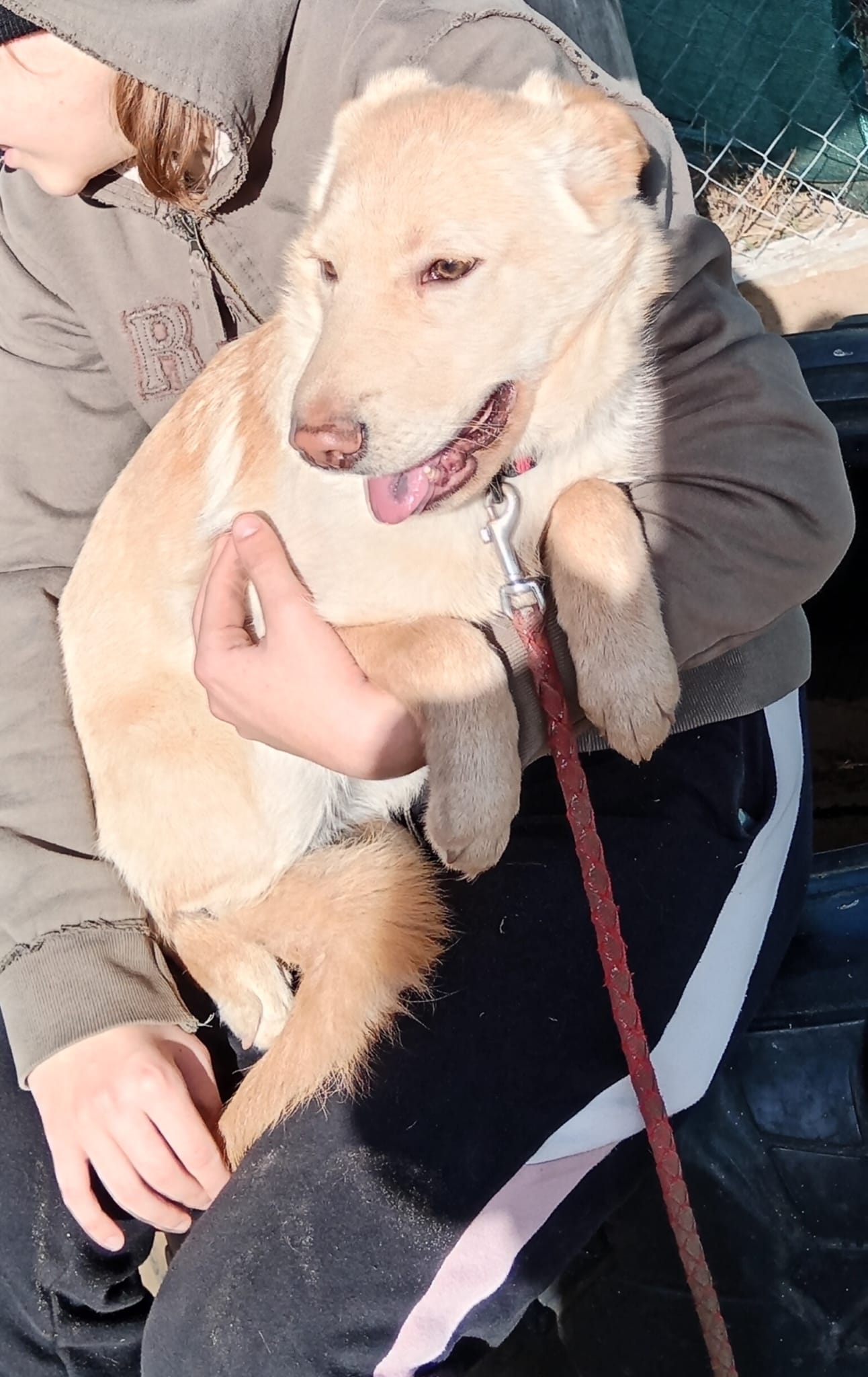 PHOTO-2025-11-04-10-53-21 (1)