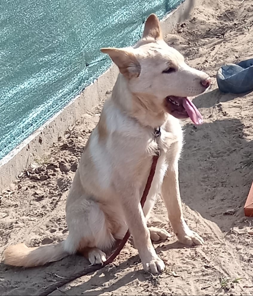 PHOTO-2025-11-04-10-53-21