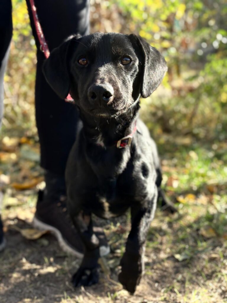 PHOTO-2025-11-04-14-24-58