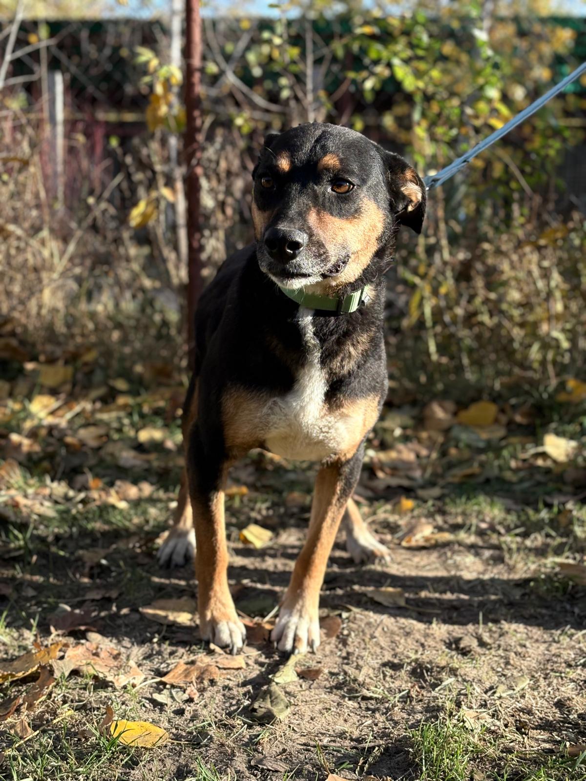 PHOTO-2025-11-05-19-41-28