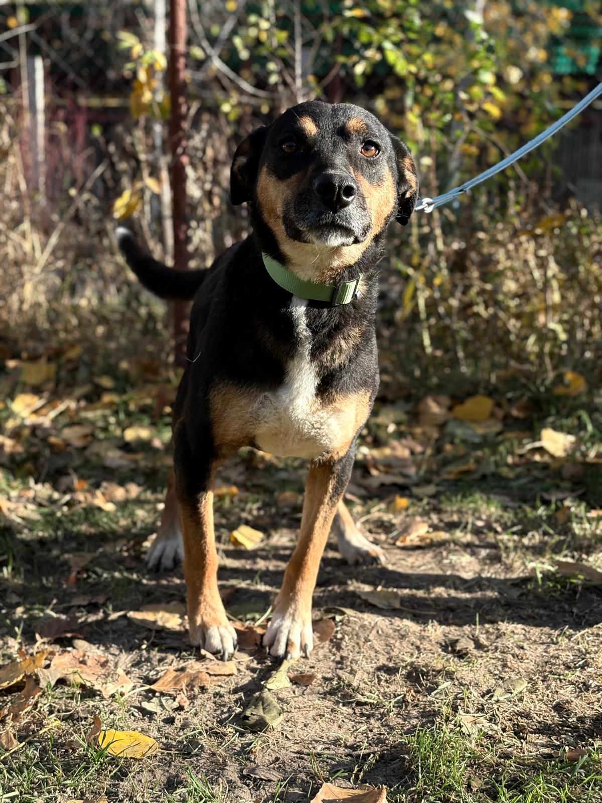 PHOTO-2025-11-05-19-41-28(1)