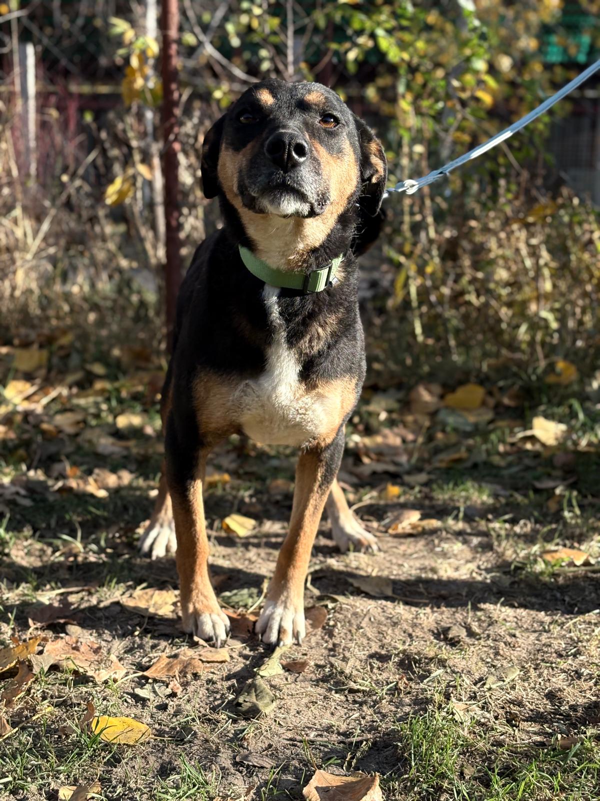 PHOTO-2025-11-05-19-41-28(2)