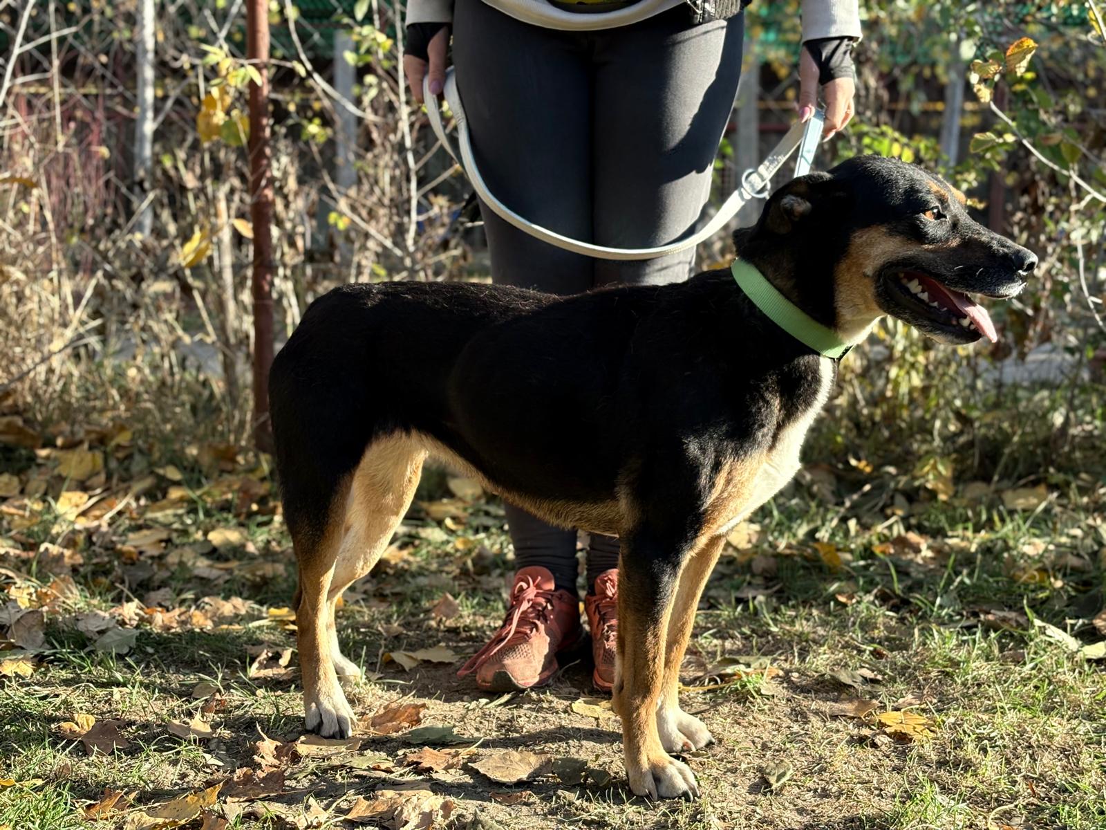 PHOTO-2025-11-05-19-41-28(3)