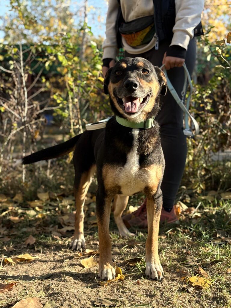 PHOTO-2025-11-05-19-41-28(4)