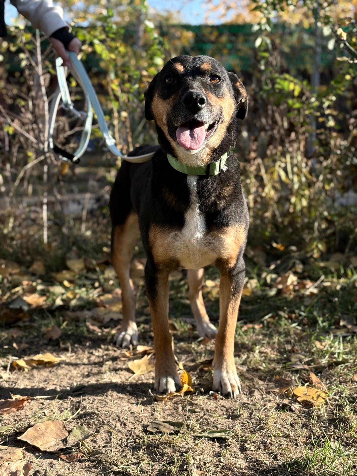 PHOTO-2025-11-05-19-41-28(5)