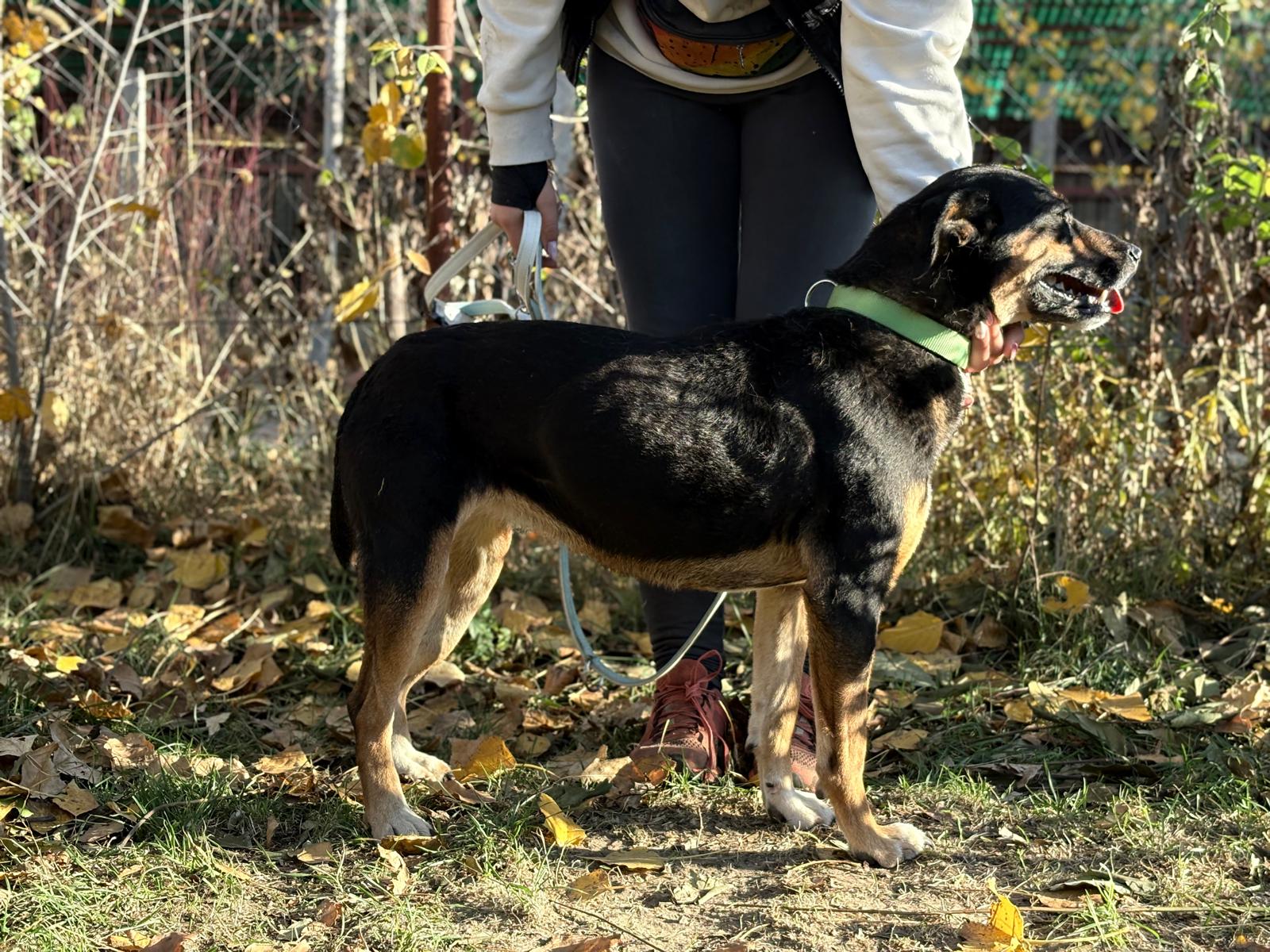 PHOTO-2025-11-05-19-41-28(6)