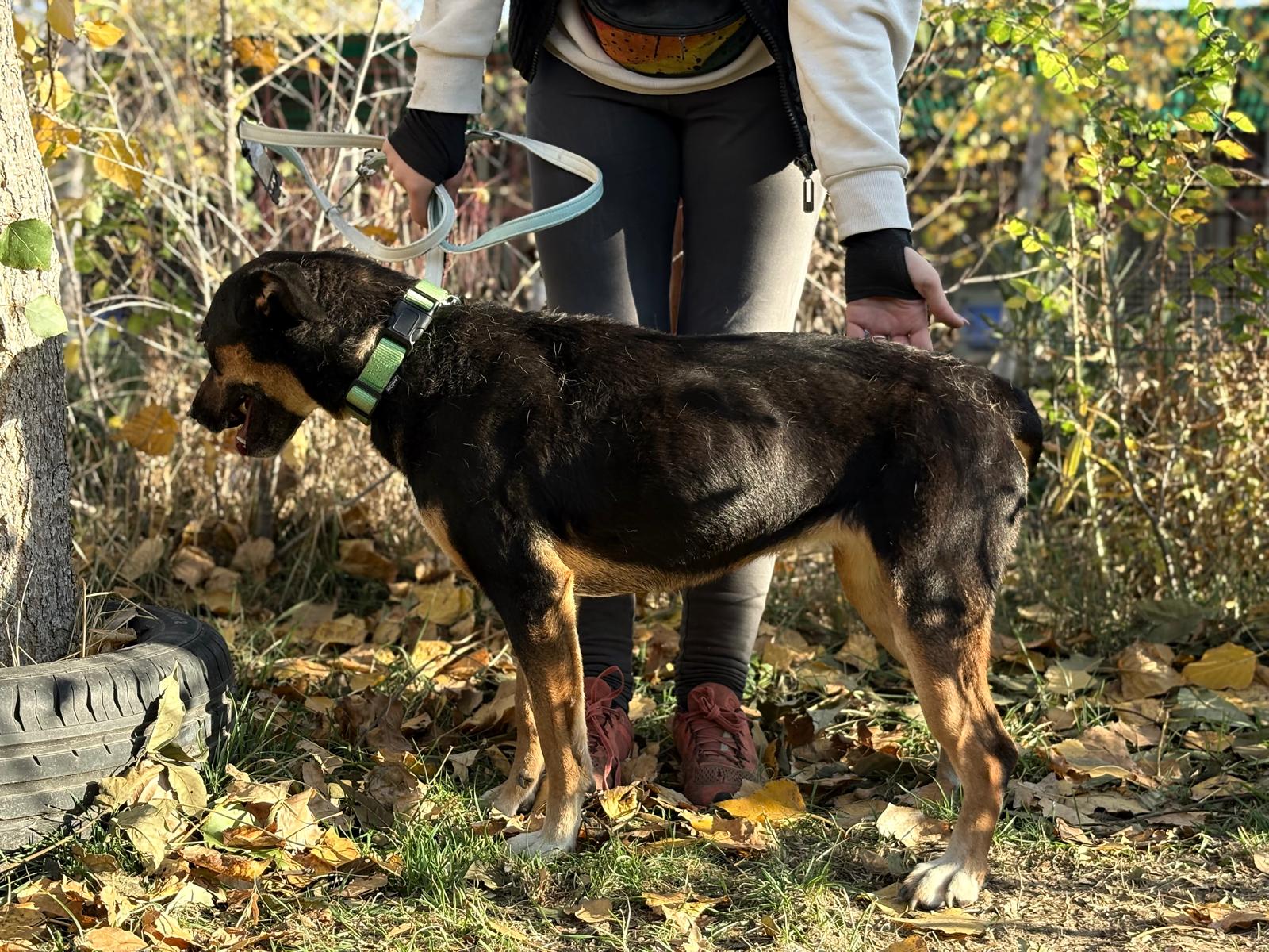 PHOTO-2025-11-05-19-41-28(7)