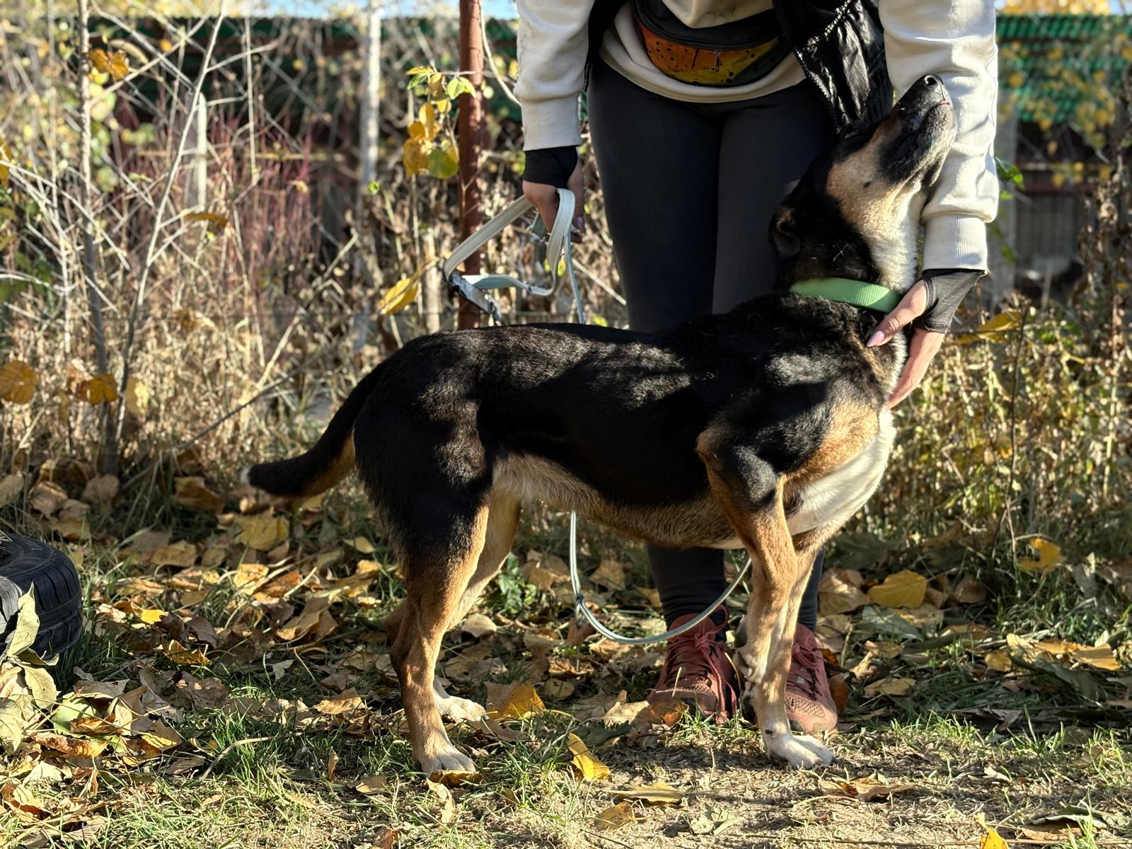 PHOTO-2025-11-05-19-41-28(8)