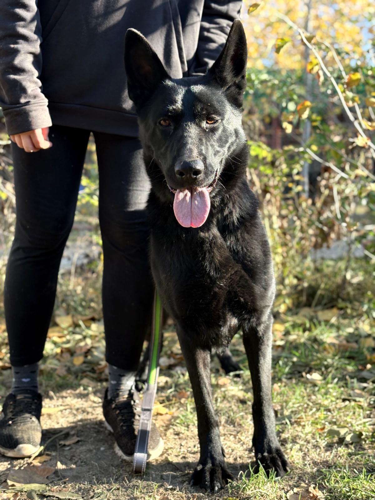 PHOTO-2025-11-05-19-41-52