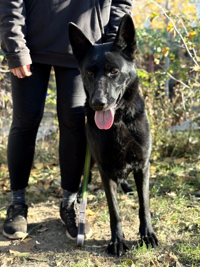 PHOTO-2025-11-05-19-41-52(1)