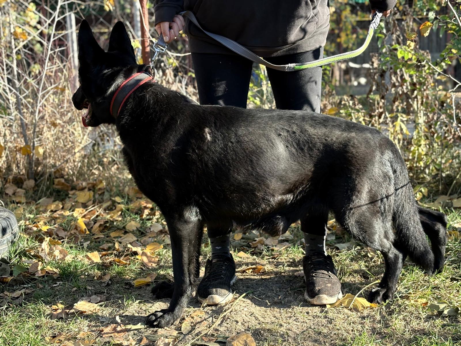 PHOTO-2025-11-05-19-41-52(2)