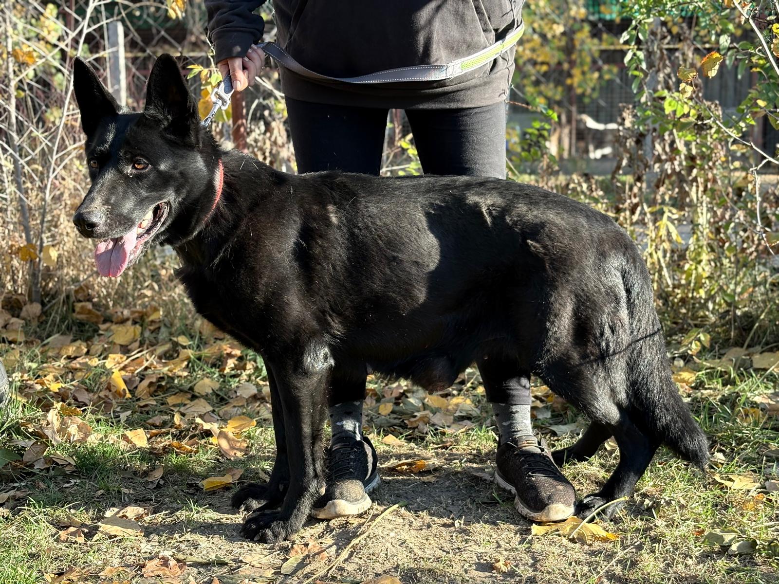 PHOTO-2025-11-05-19-41-52(3)