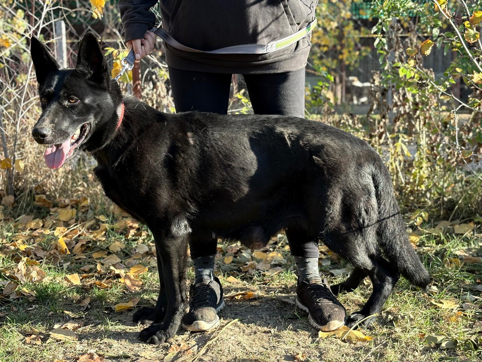 PHOTO-2025-11-05-19-41-52(4)