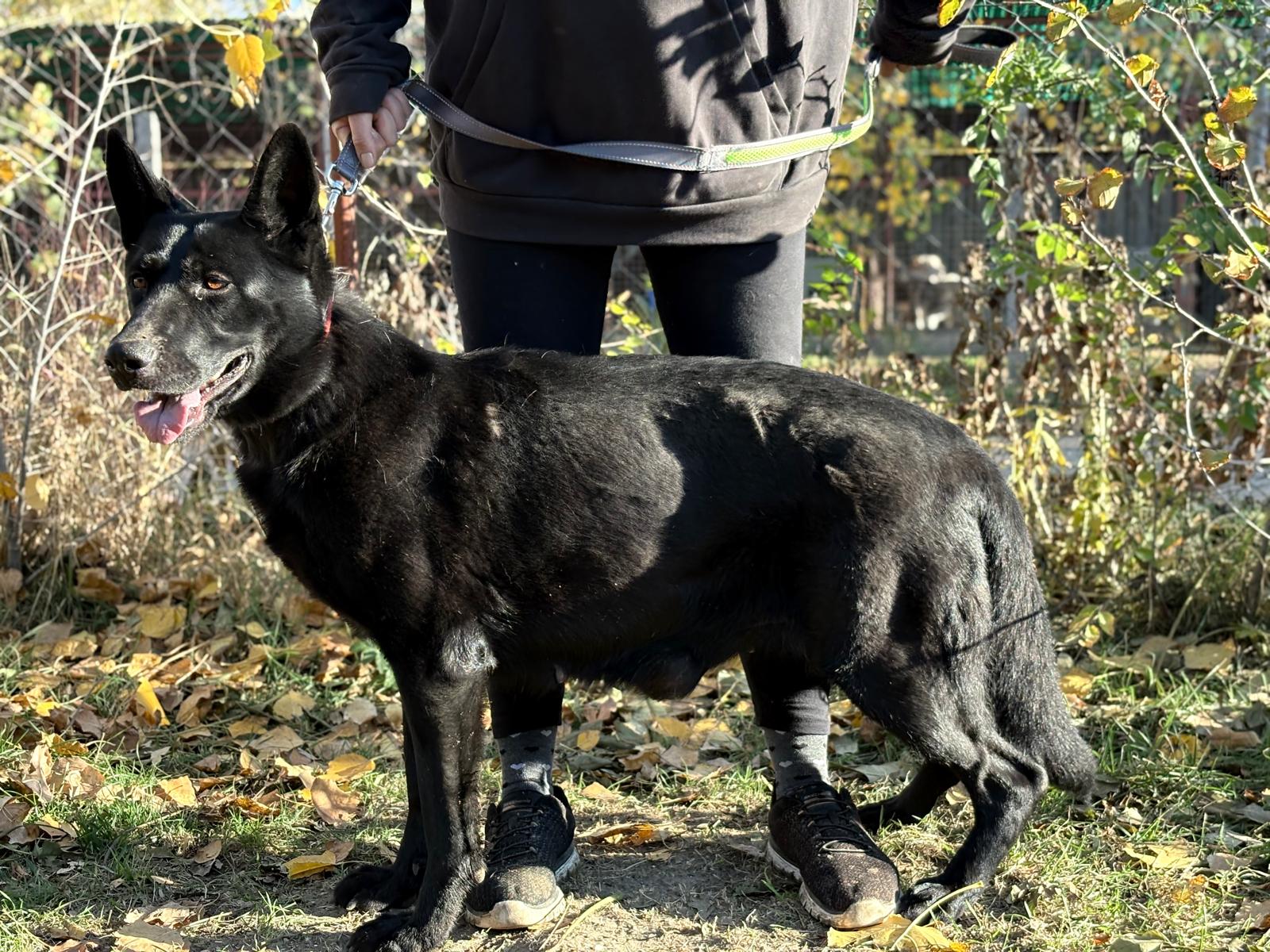 PHOTO-2025-11-05-19-41-52(5)