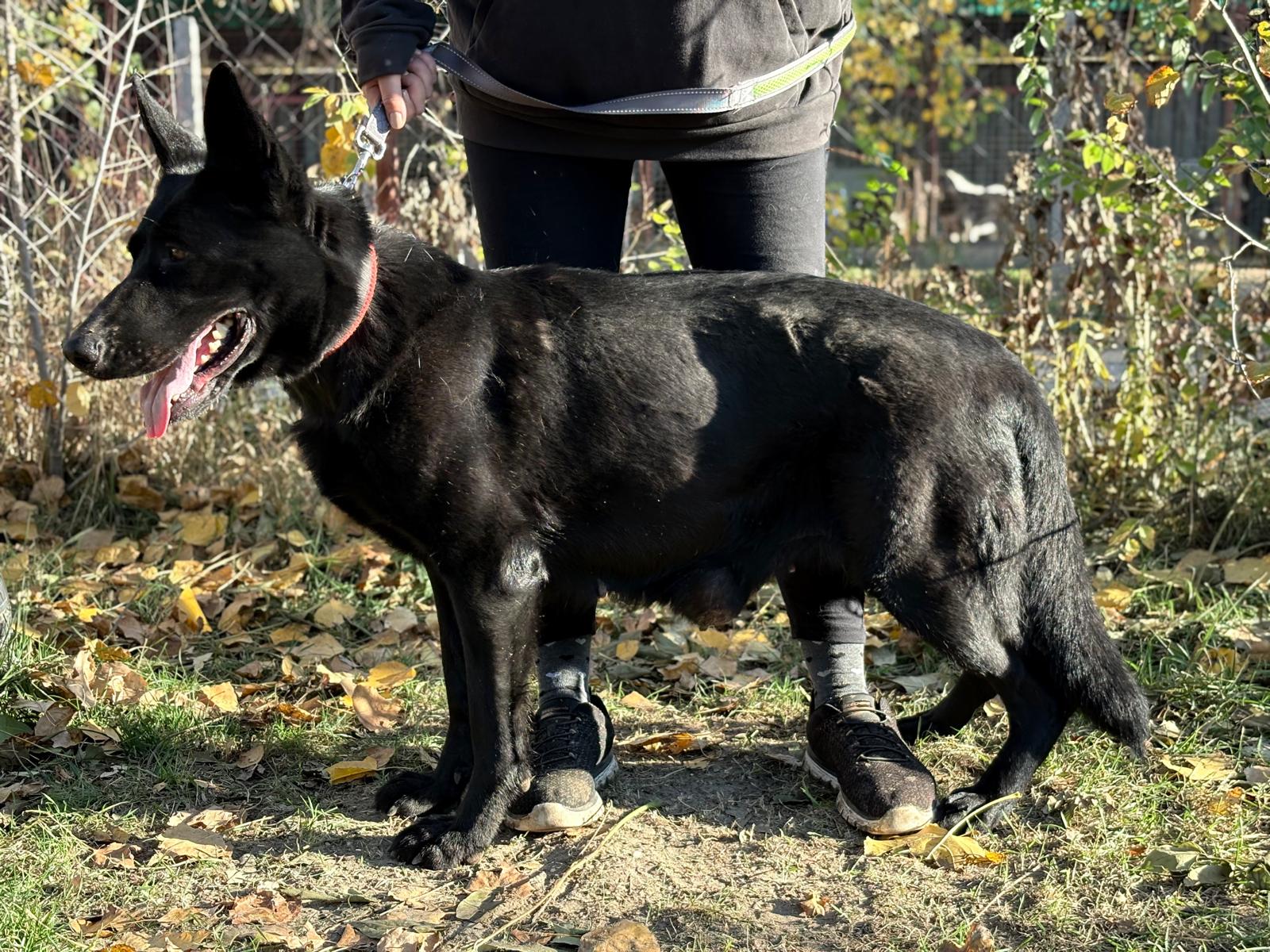 PHOTO-2025-11-05-19-41-52(6)