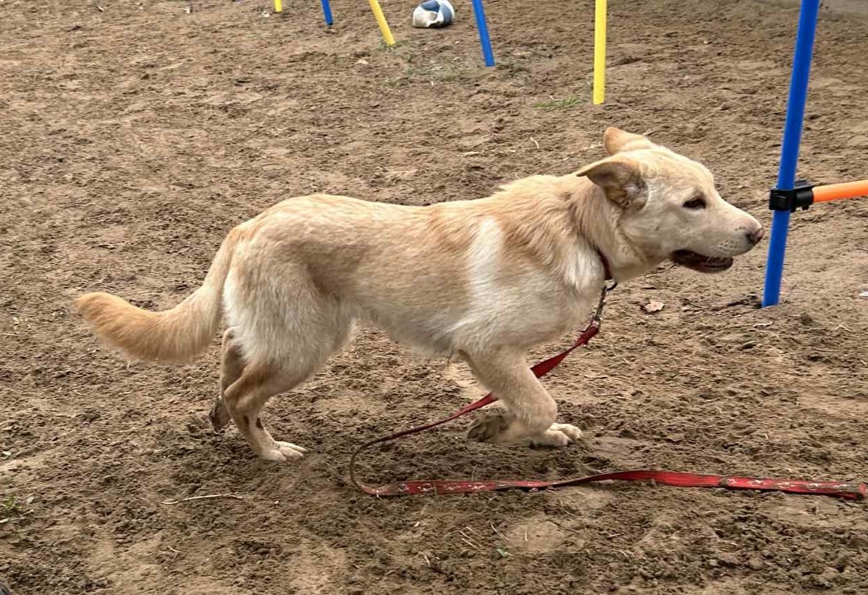 PHOTO-2025-11-11-12-36-22