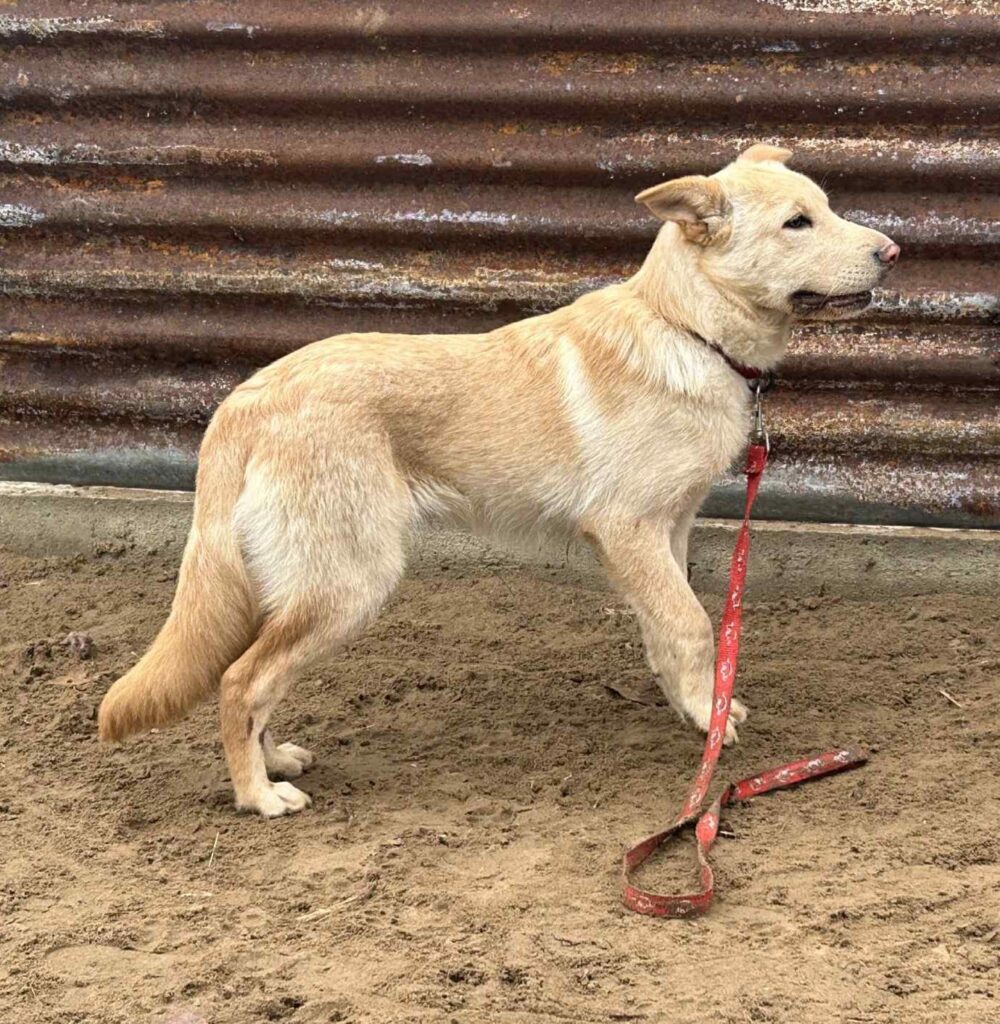 PHOTO-2025-11-11-12-36-23