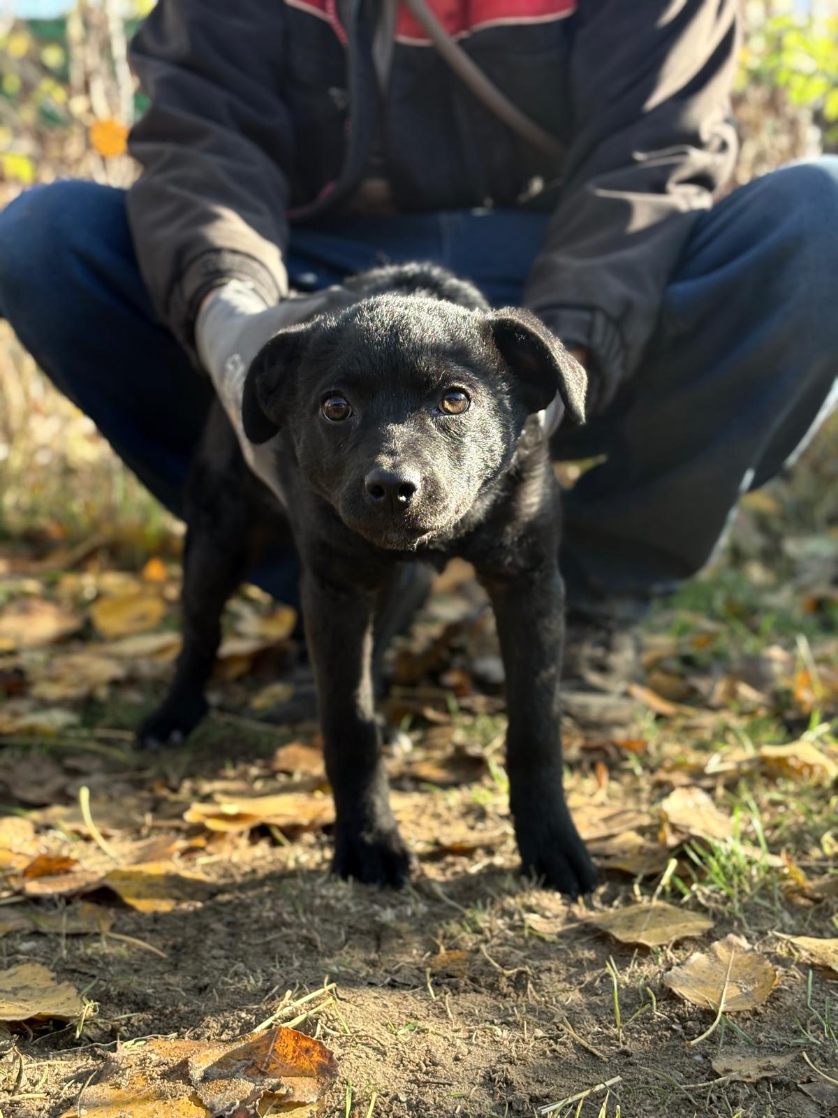 PHOTO-2025-11-11-14-31-32(1)