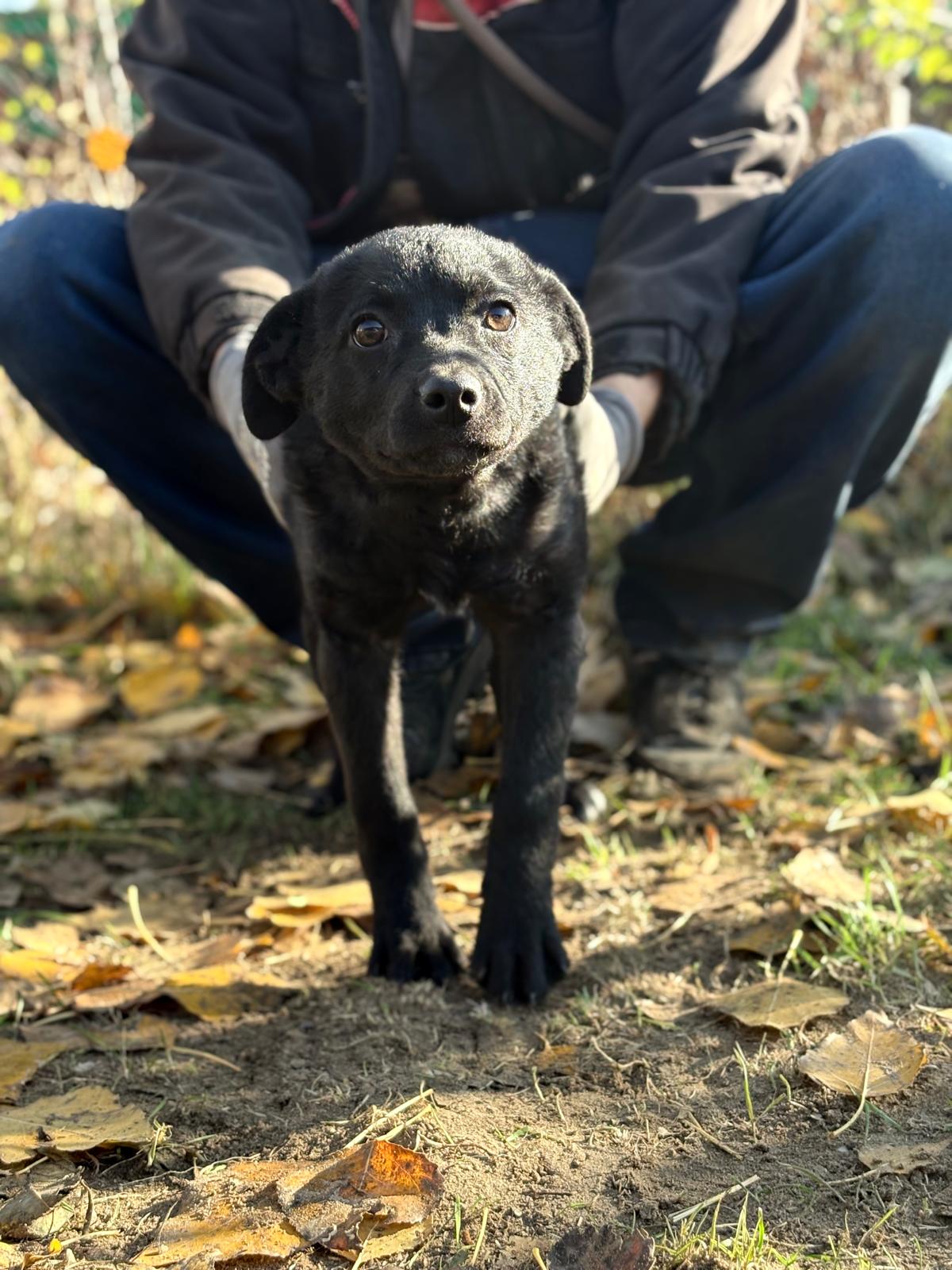 PHOTO-2025-11-11-14-31-33