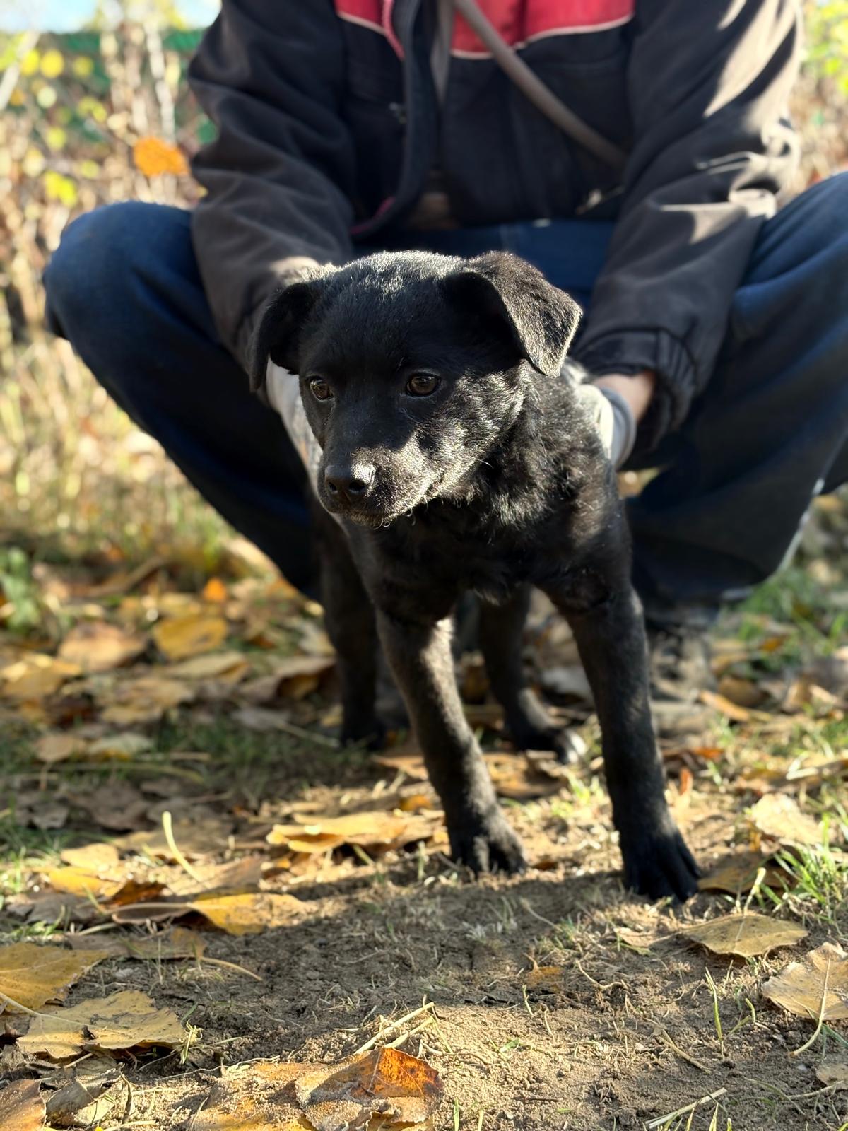 PHOTO-2025-11-11-14-31-33(1)