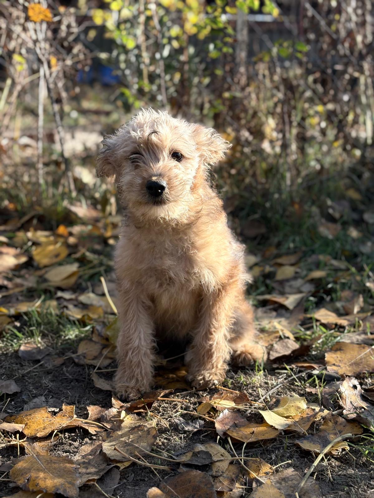 PHOTO-2025-11-11-14-33-10(1)