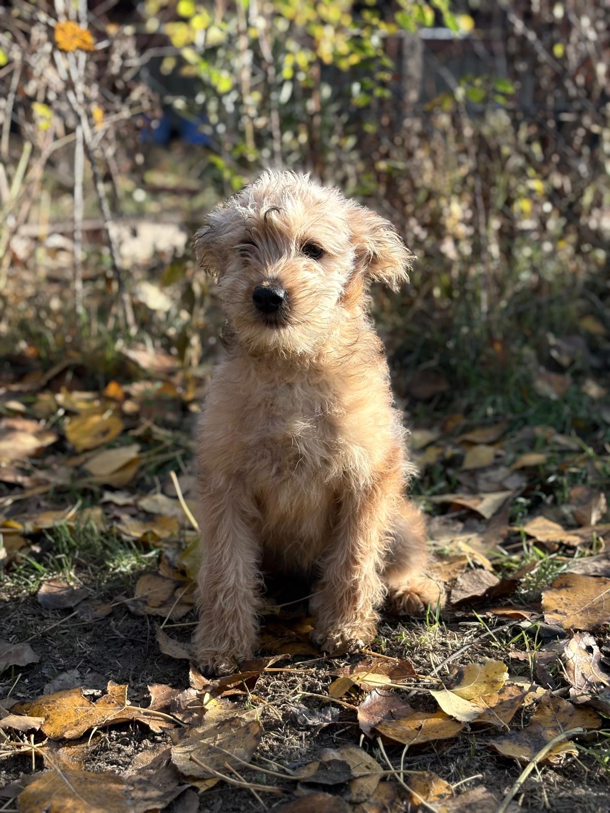 PHOTO-2025-11-11-14-33-10(3)