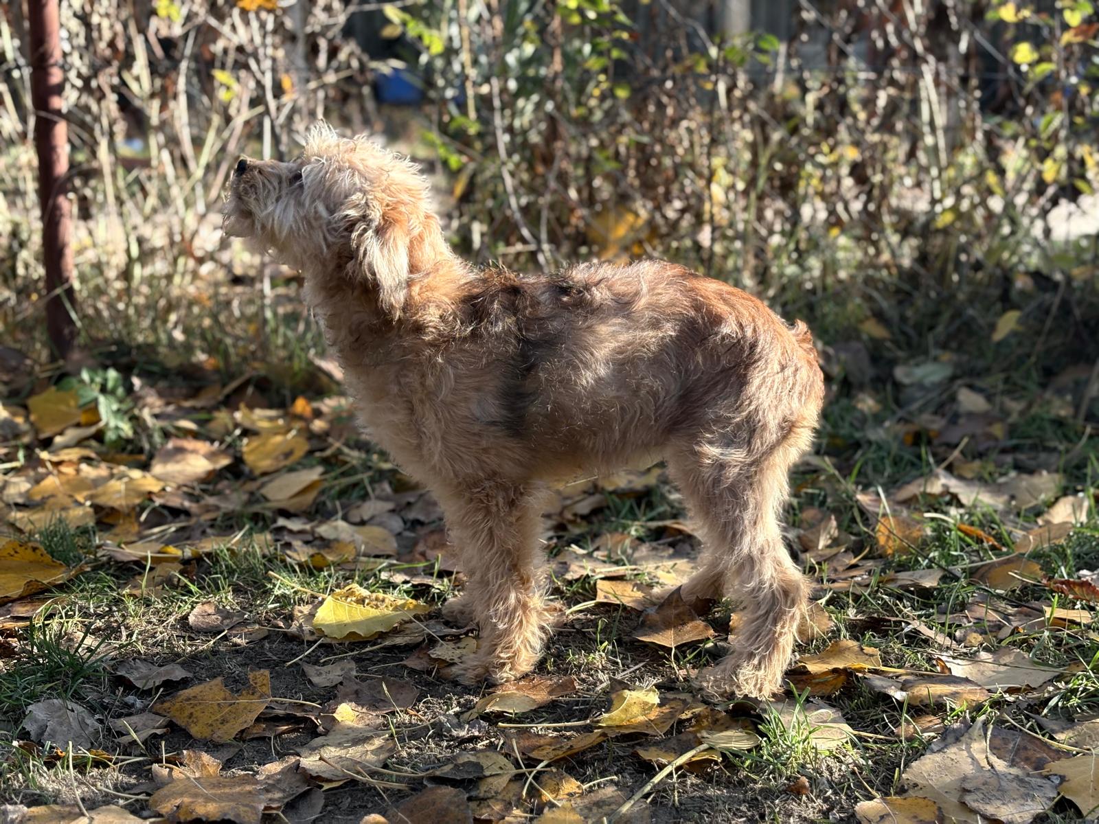 PHOTO-2025-11-11-14-33-10(4)