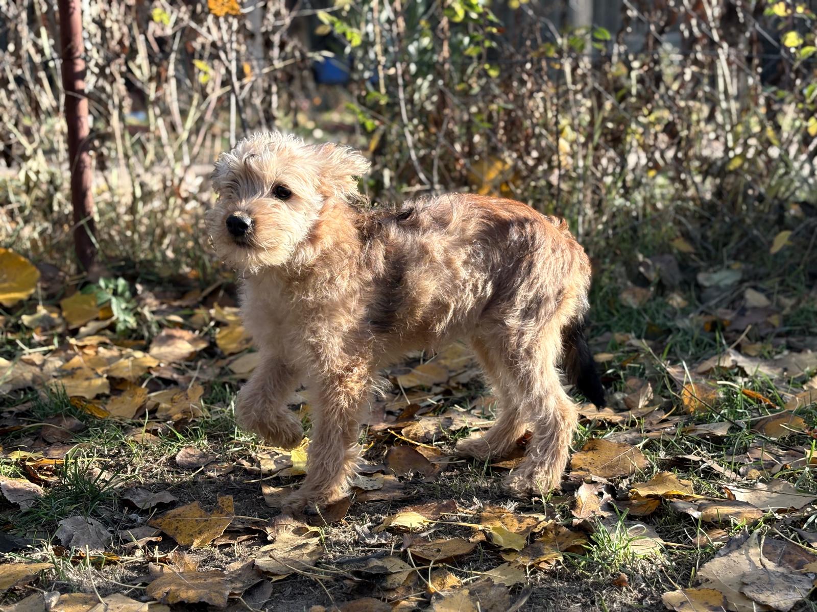 PHOTO-2025-11-11-14-33-10(5)