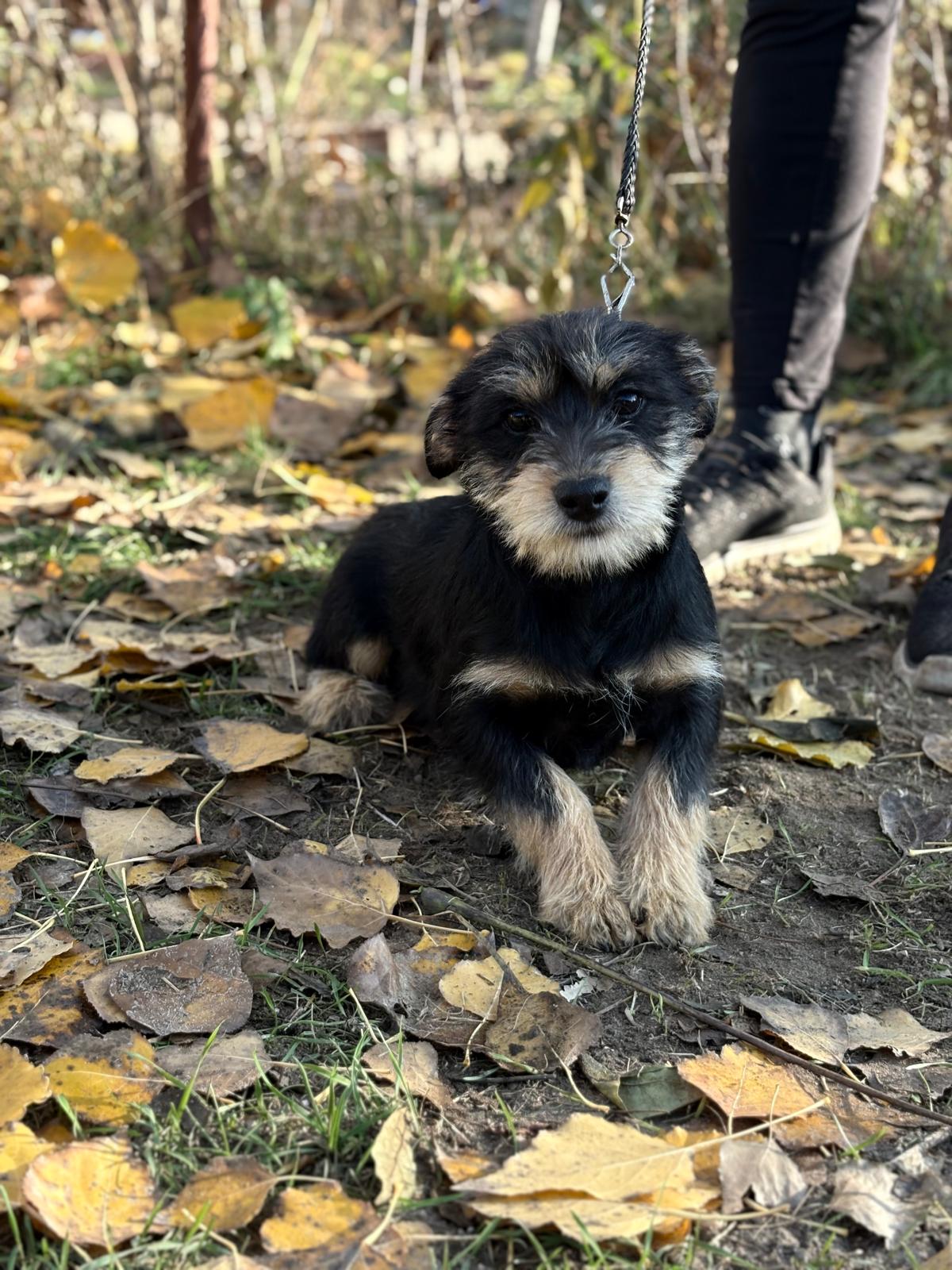 PHOTO-2025-11-11-14-34-35