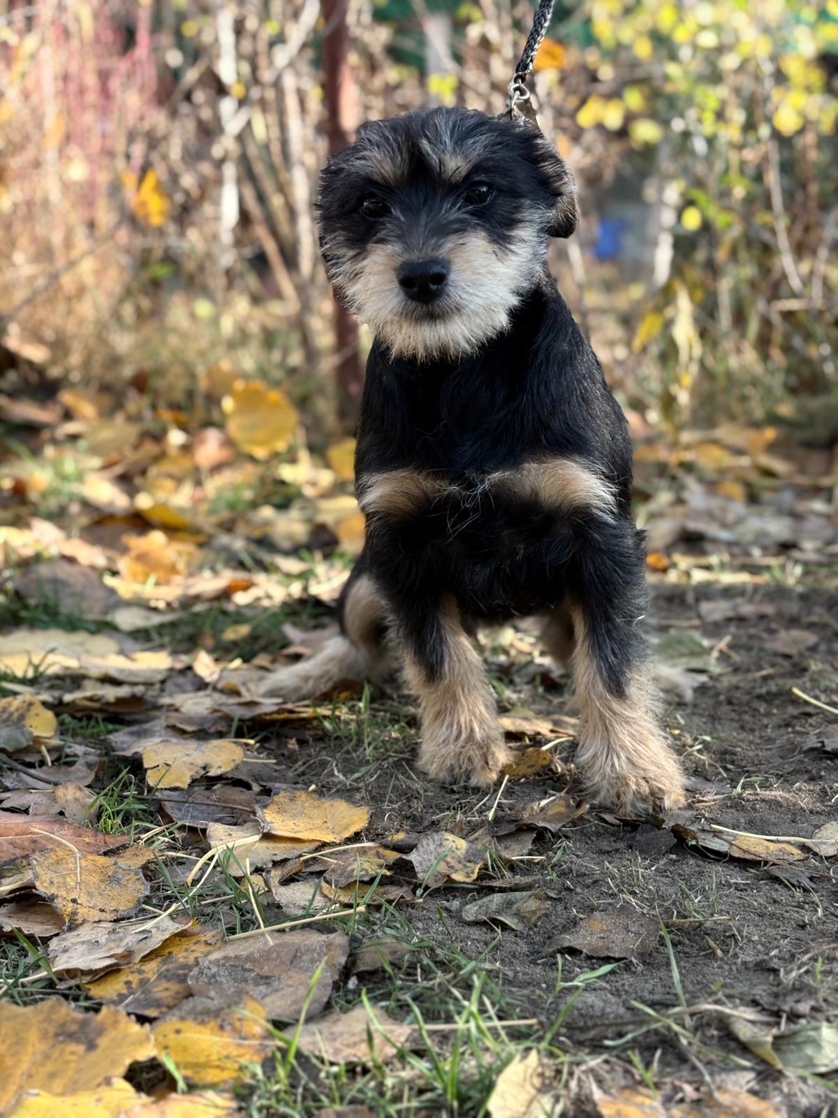 PHOTO-2025-11-11-14-34-35(1)