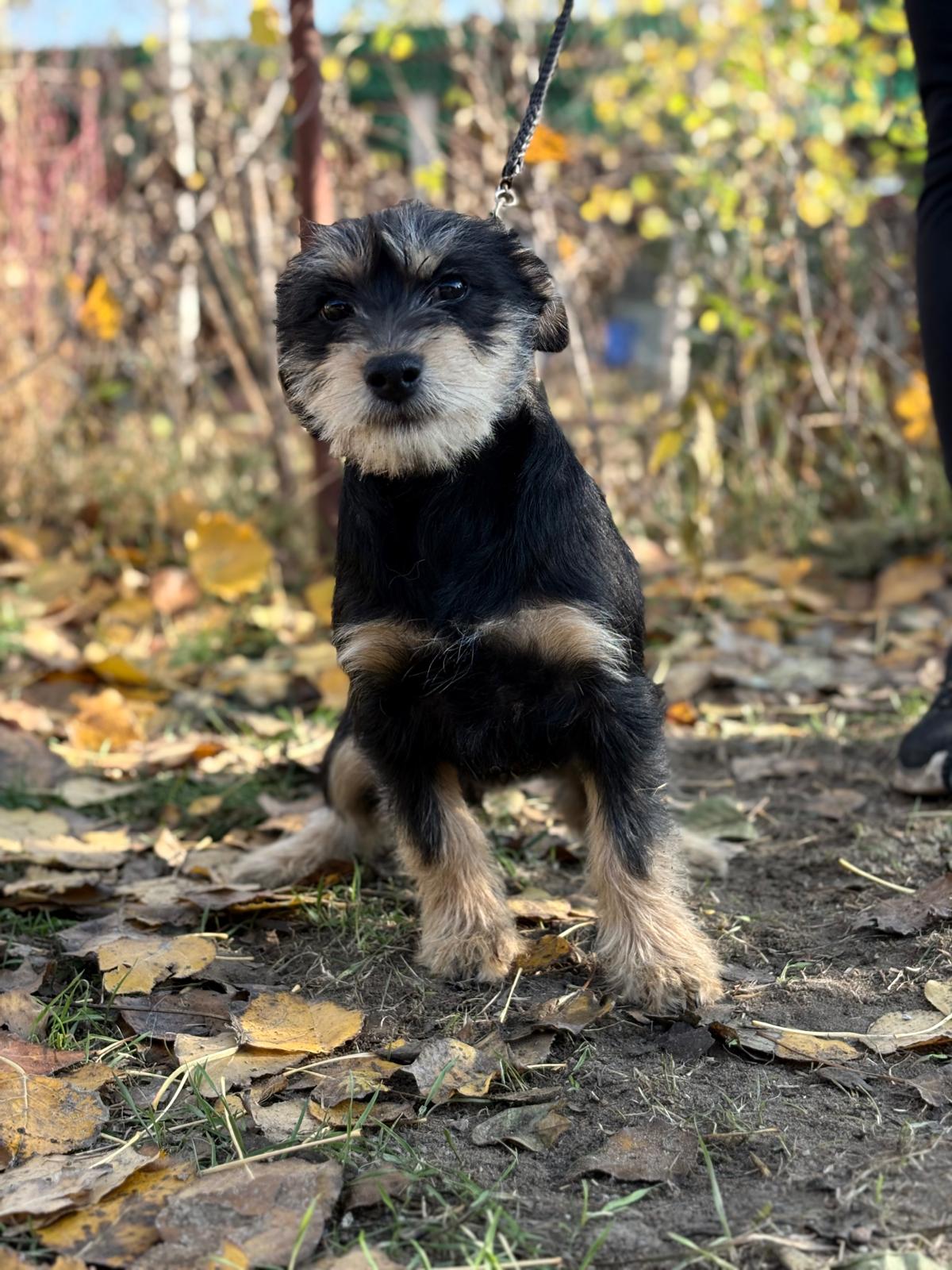 PHOTO-2025-11-11-14-34-35(2)