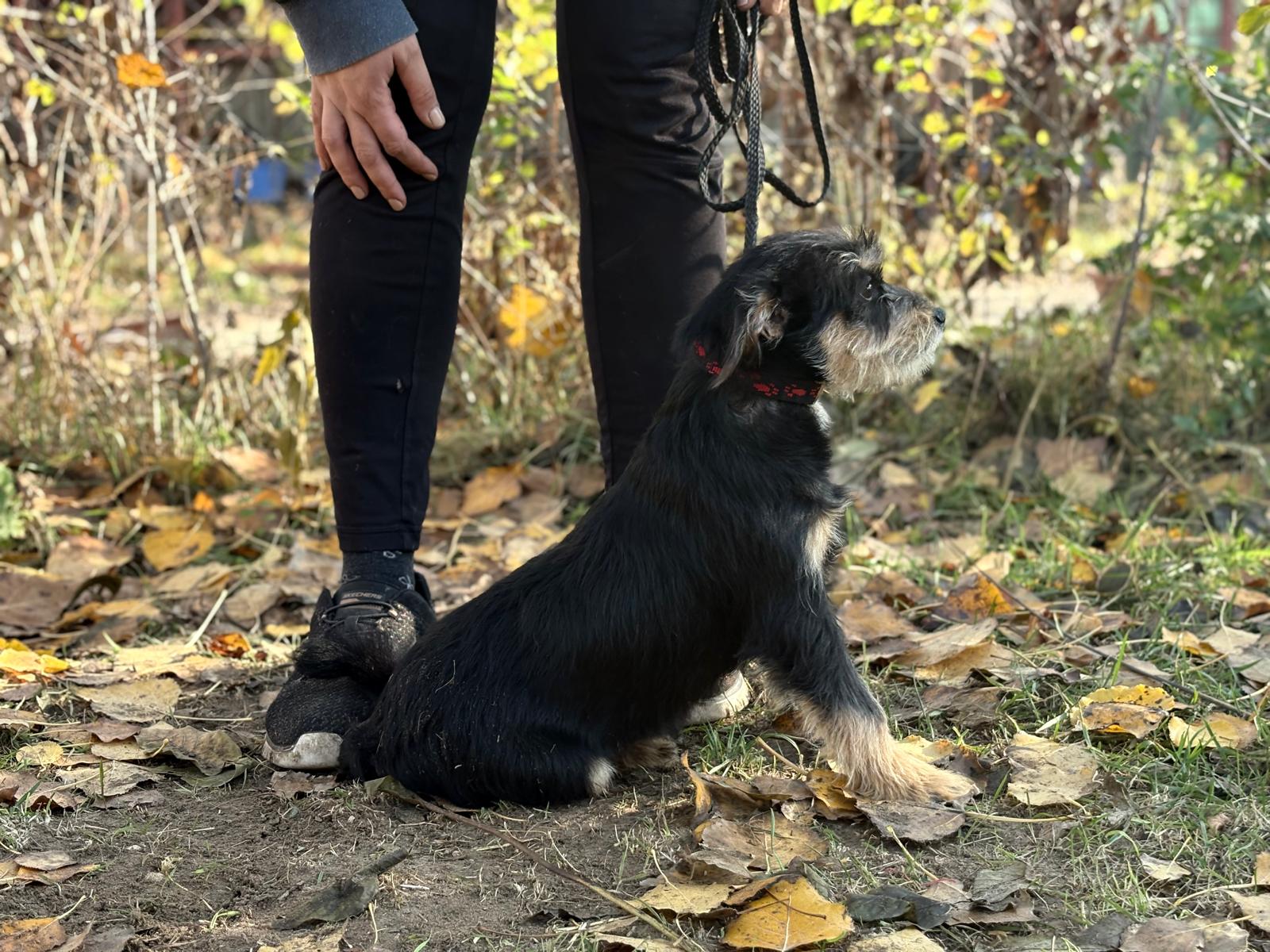 PHOTO-2025-11-11-14-34-35(3)