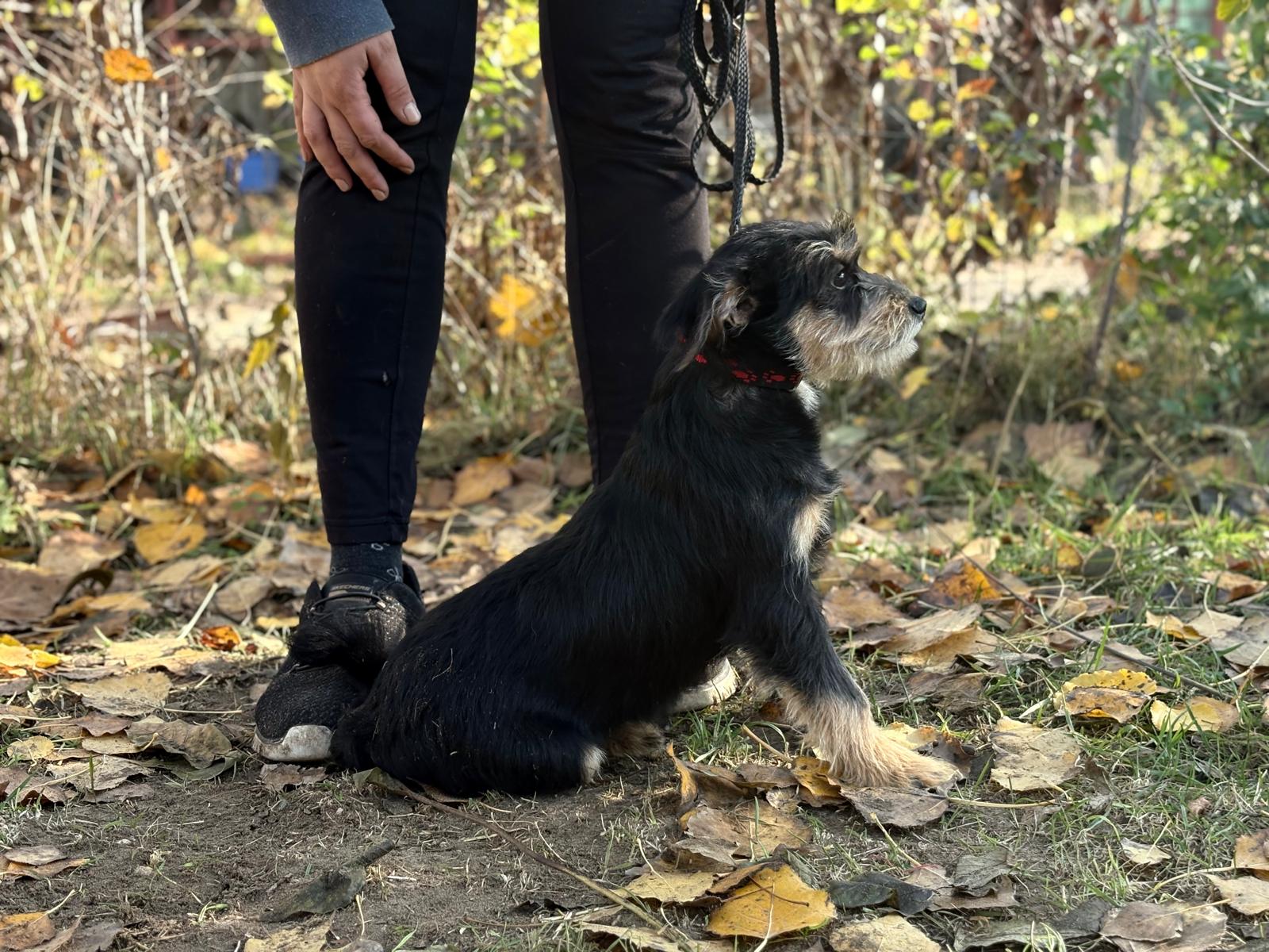 PHOTO-2025-11-11-14-34-35(4)