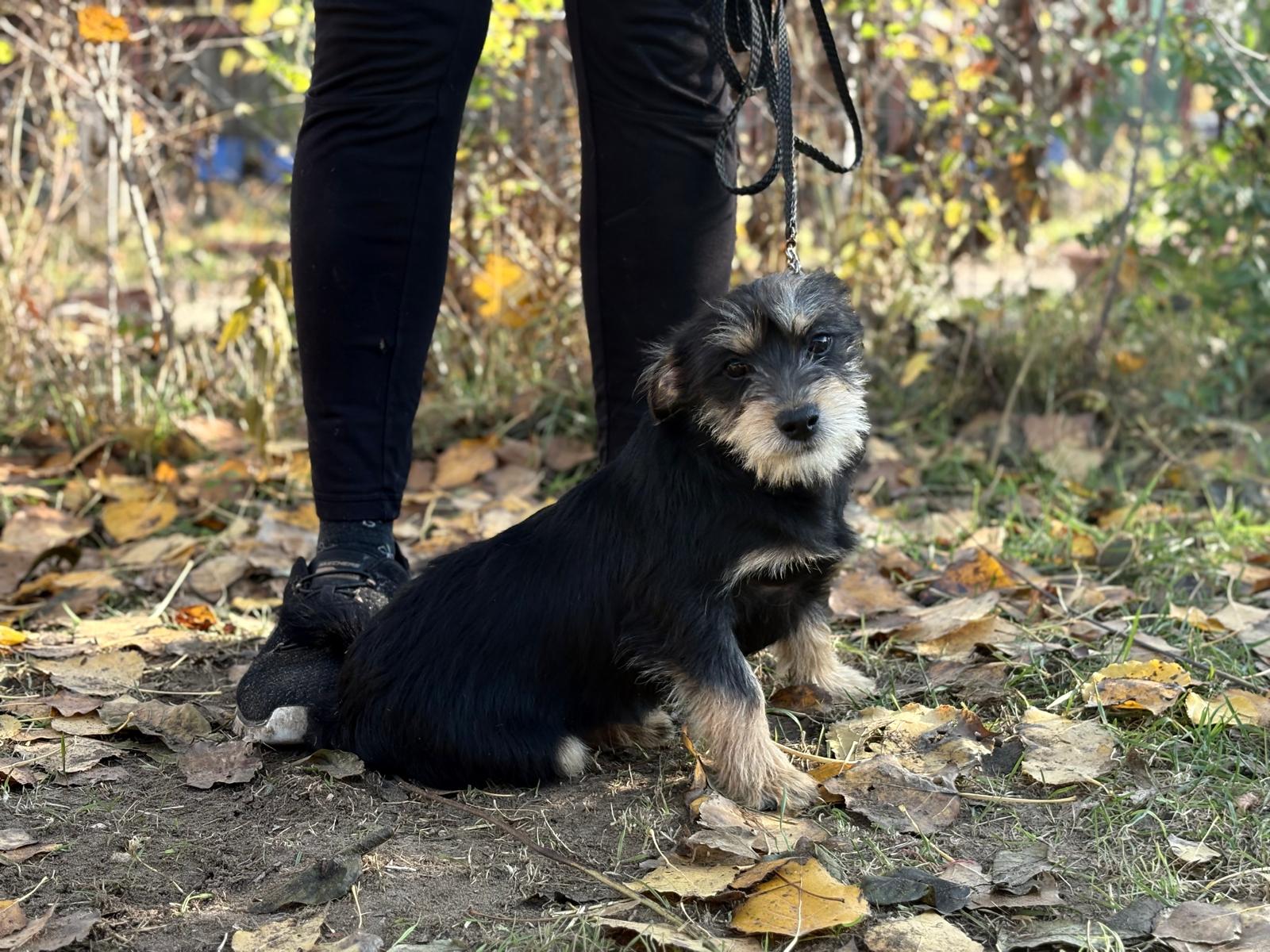 PHOTO-2025-11-11-14-34-35(5)