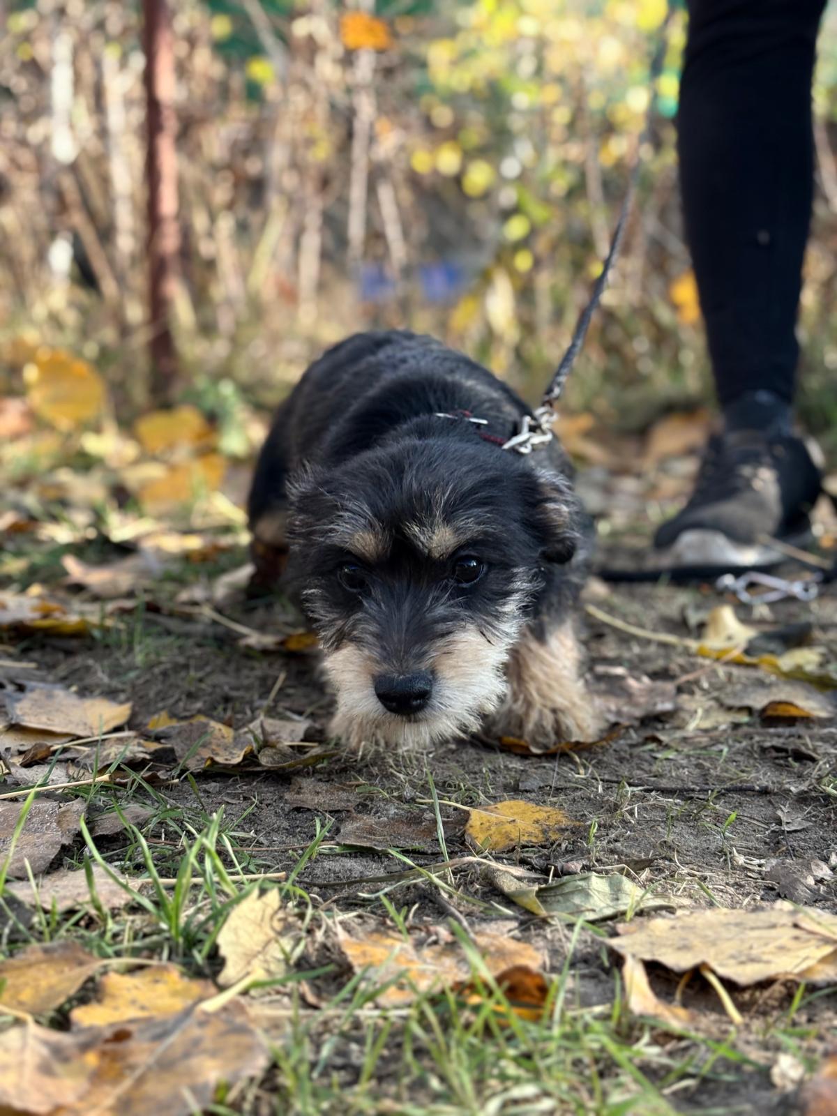 PHOTO-2025-11-11-14-34-35(6)