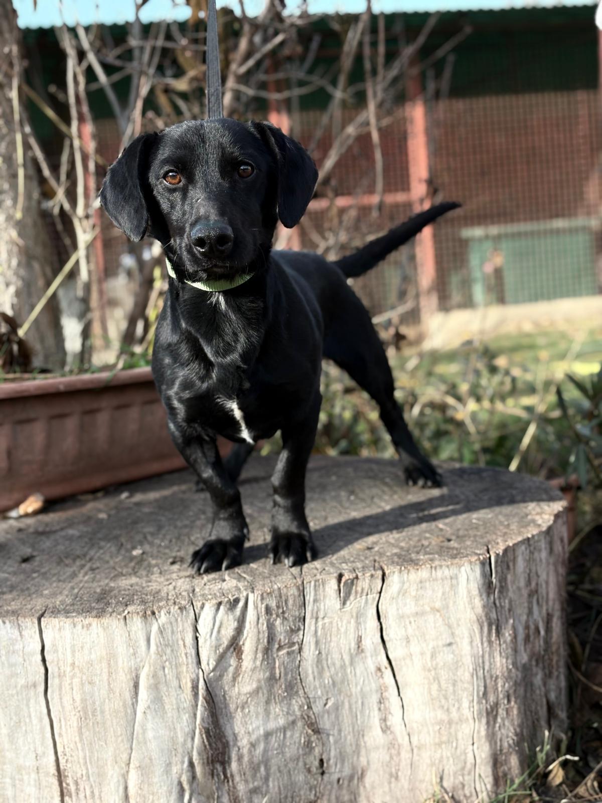 PHOTO-2025-11-17-13-15-56