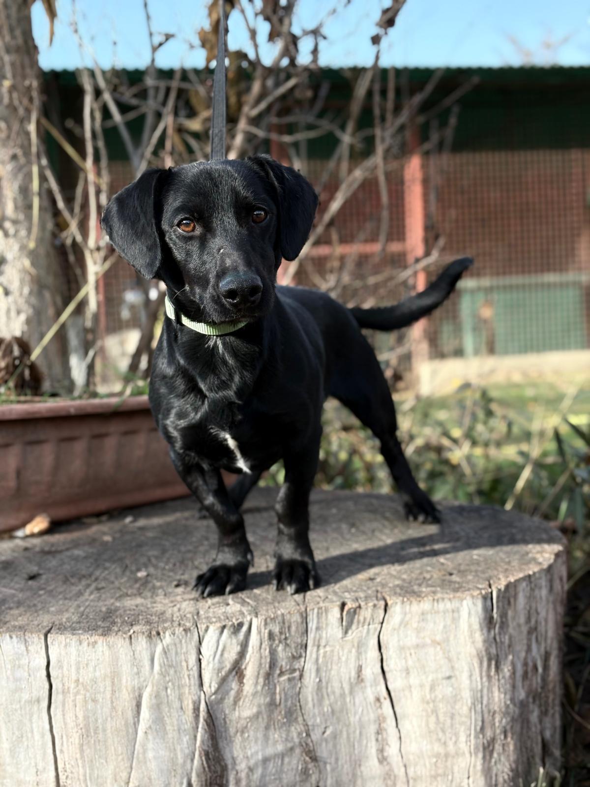 PHOTO-2025-11-17-13-15-57 (1)