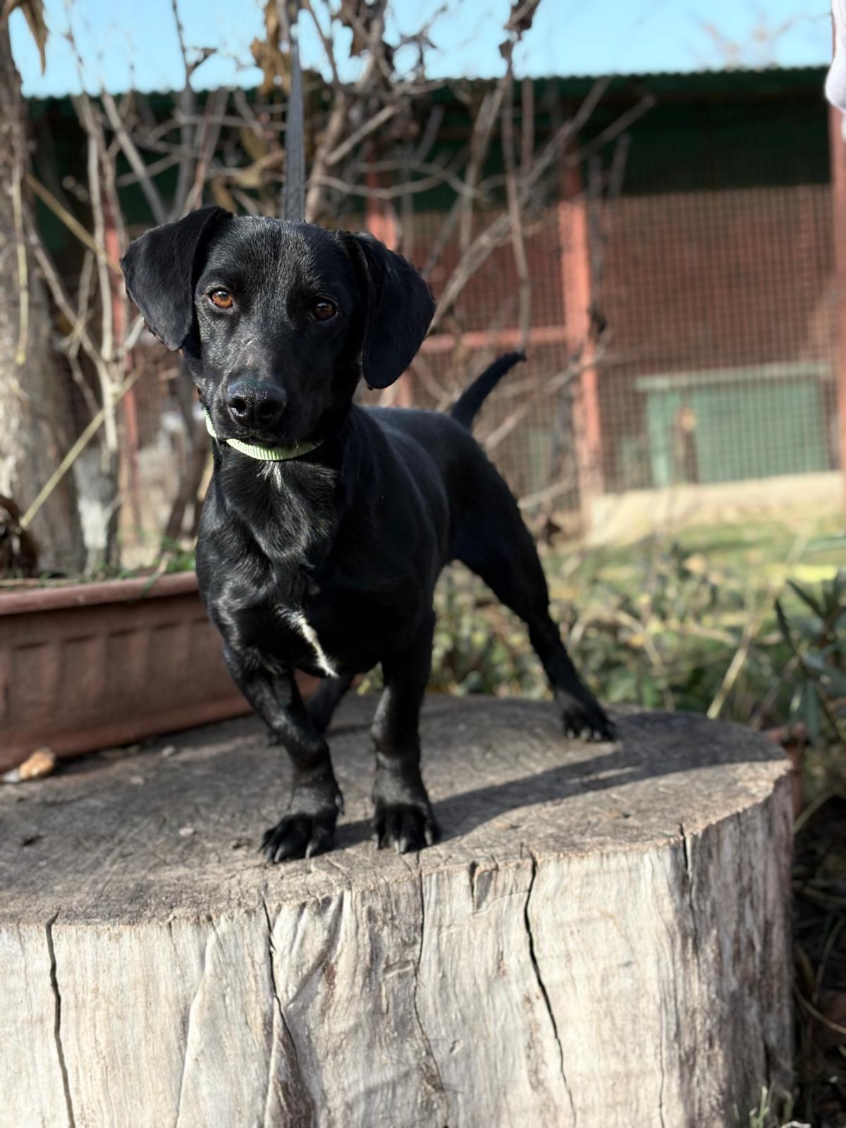 PHOTO-2025-11-17-13-15-57 (2)