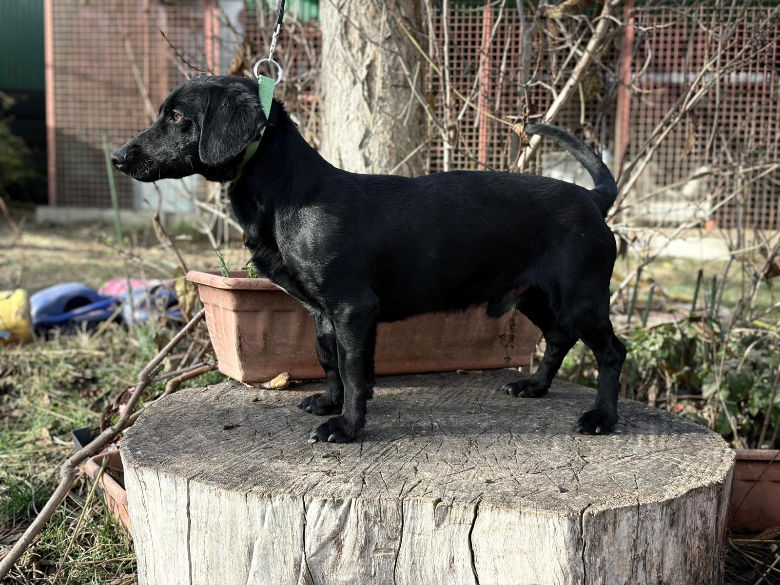 PHOTO-2025-11-17-13-15-57