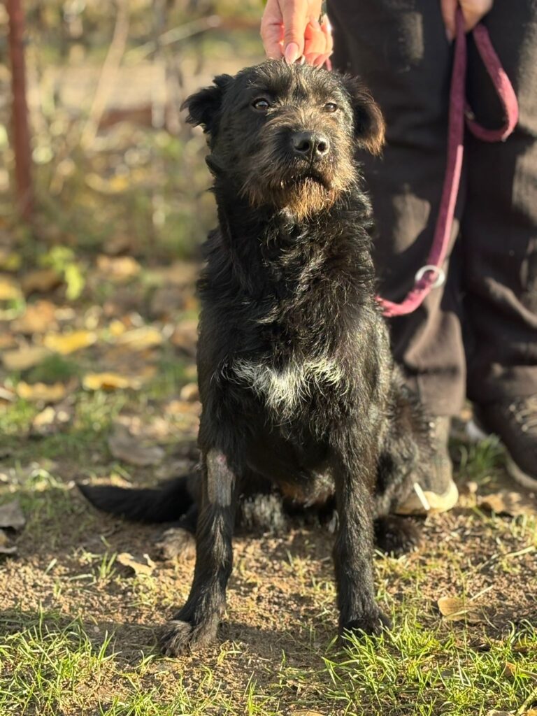 PHOTO-2025-11-18-16-25-55(1)