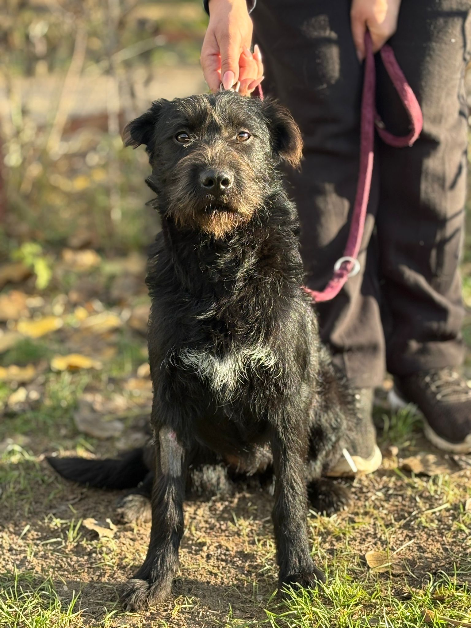 PHOTO-2025-11-18-16-25-55(2)