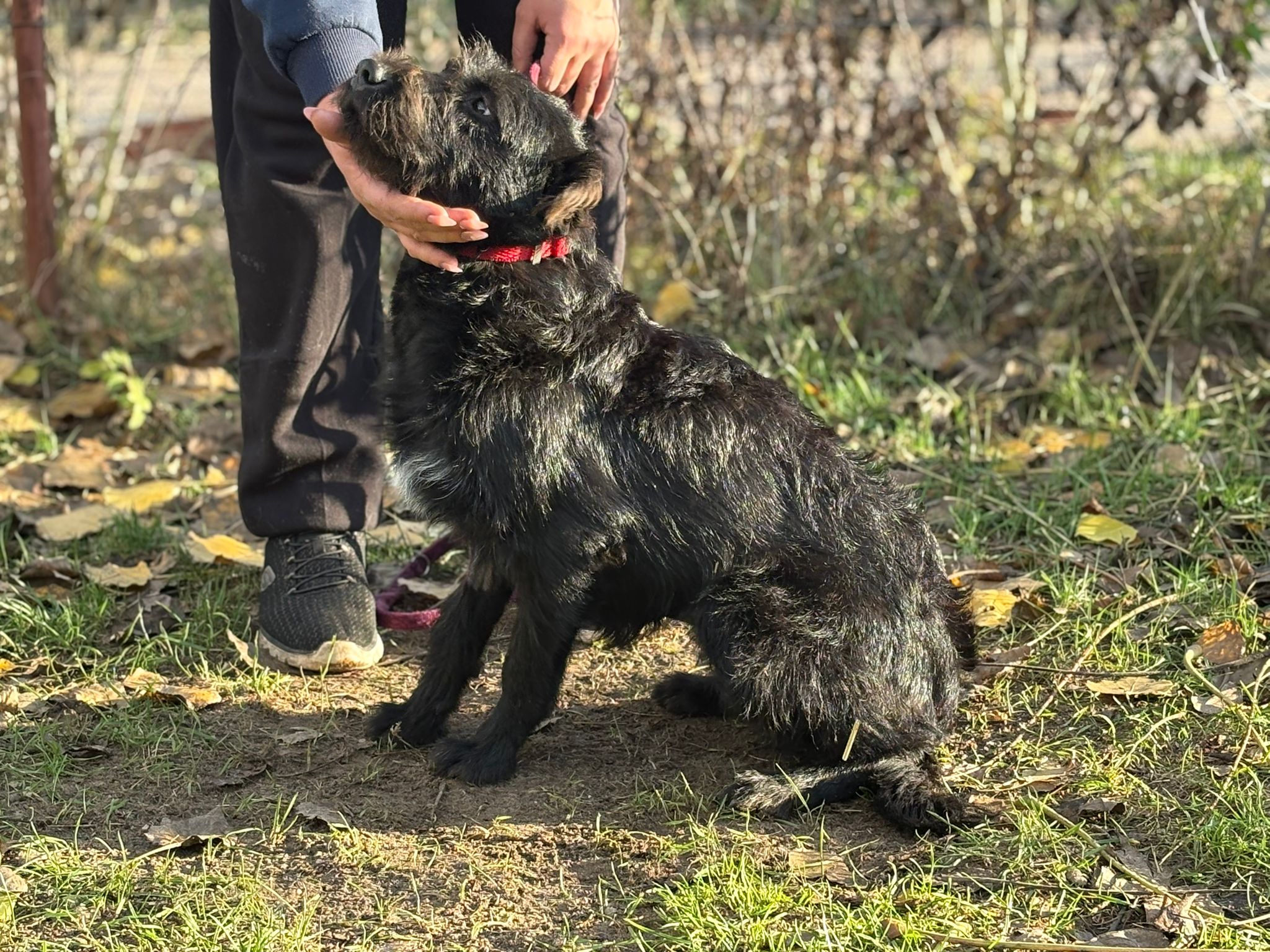 PHOTO-2025-11-18-16-25-56