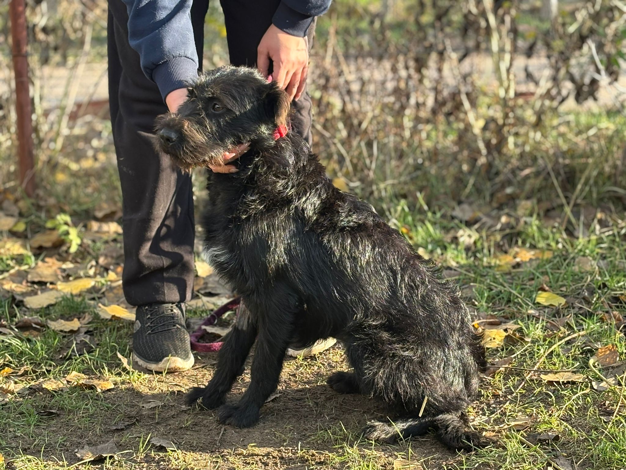 PHOTO-2025-11-18-16-25-56(1)