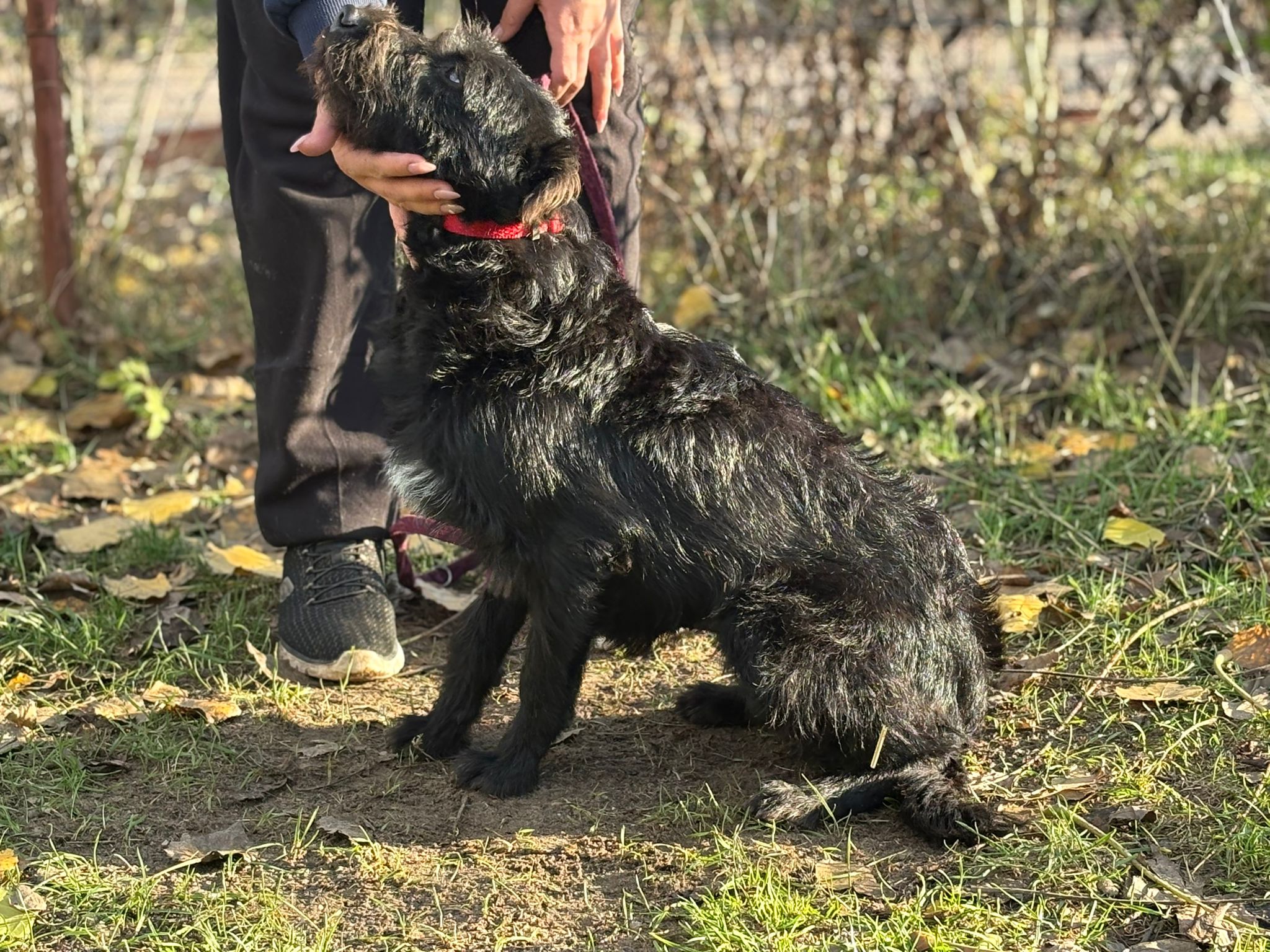 PHOTO-2025-11-18-16-25-56(2)