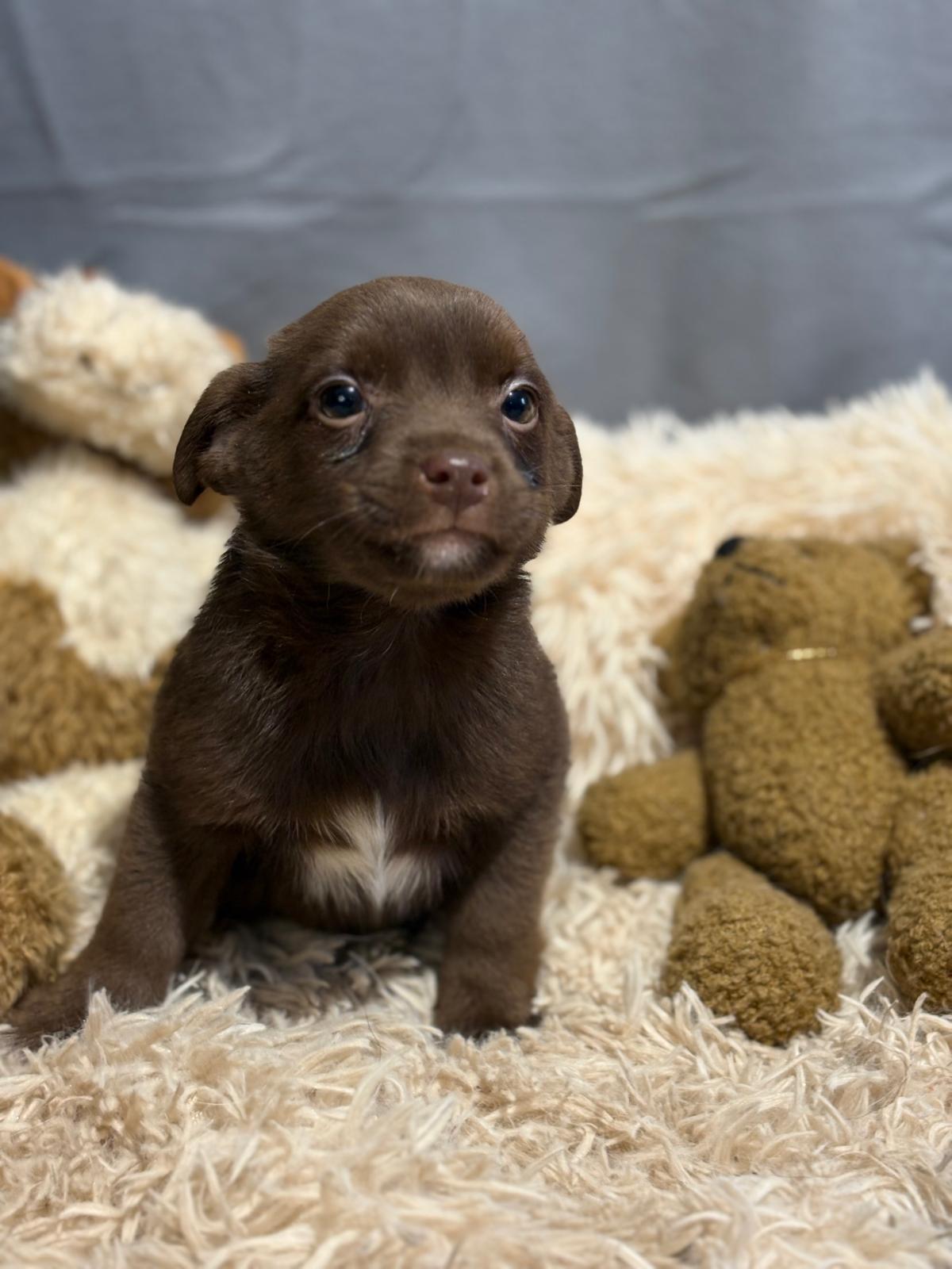 PHOTO-2025-12-16-17-13-49