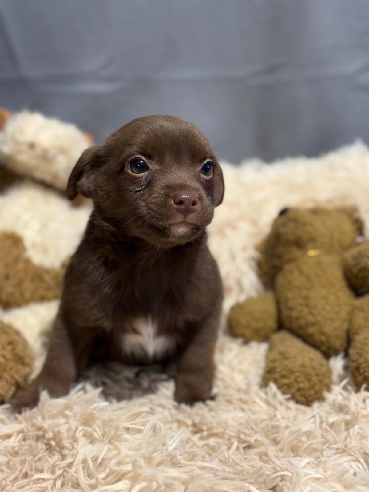 PHOTO-2025-12-16-17-13-49(1)