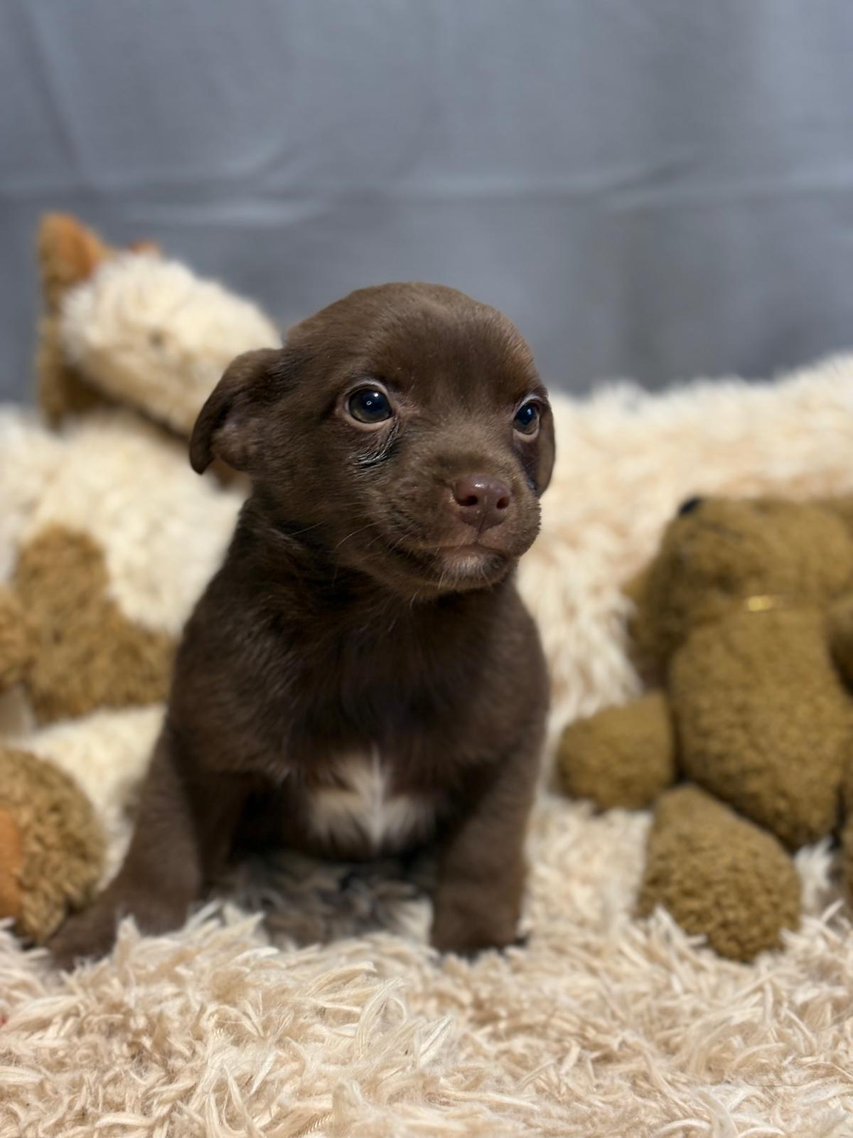 PHOTO-2025-12-16-17-13-49(2)