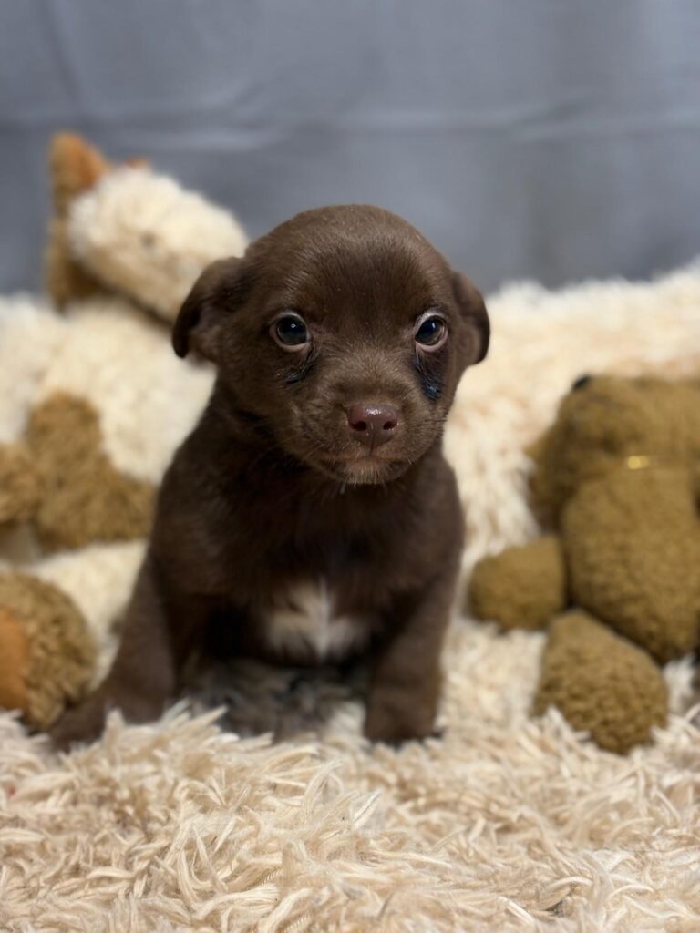 PHOTO-2025-12-16-17-13-49(3)